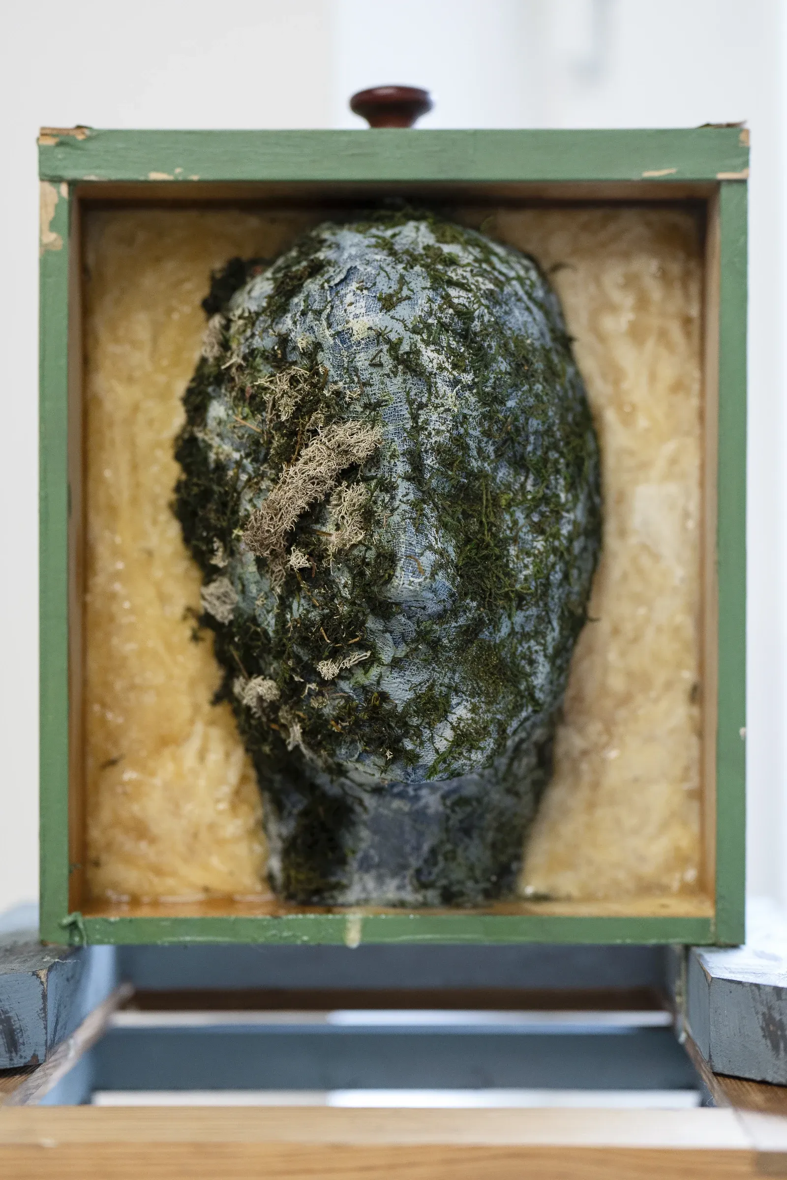 Artist Profile Feature: Erekle Chinchilakashvili, studio practice and artwork at tranzit.hu, Budapest, 2025. Close-up of a moss and lichen covered plaster head displayed inside a wooden vitrine