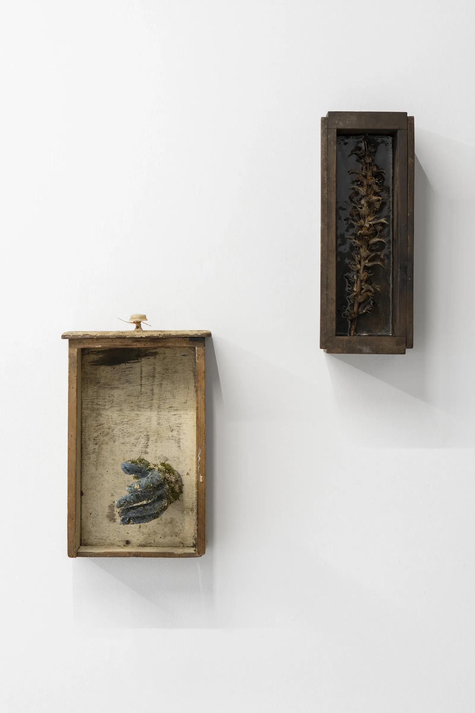 Artist Profile Feature: Erekle Chinchilakashvili, studio practice and artwork at tranzit.hu, Budapest, 2025. Two small wooden wall boxes, one holding a moss-covered cast hand, one a dried plant in dark resin.