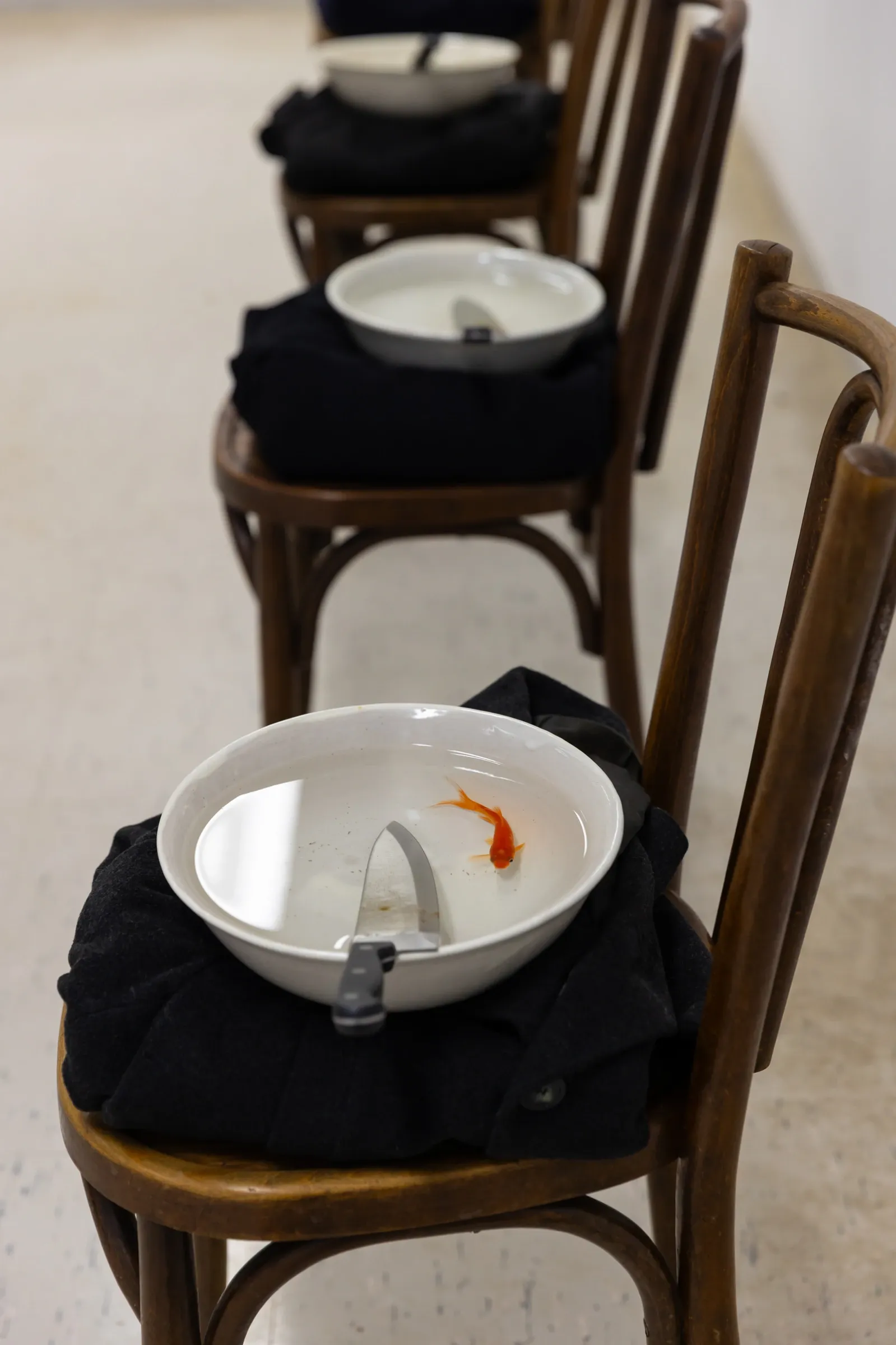 Exhibition review of Jannis Kounellis, row of wooden chairs each holding a white bowl of water with a knife and a live goldfish, Hydra, 2026.