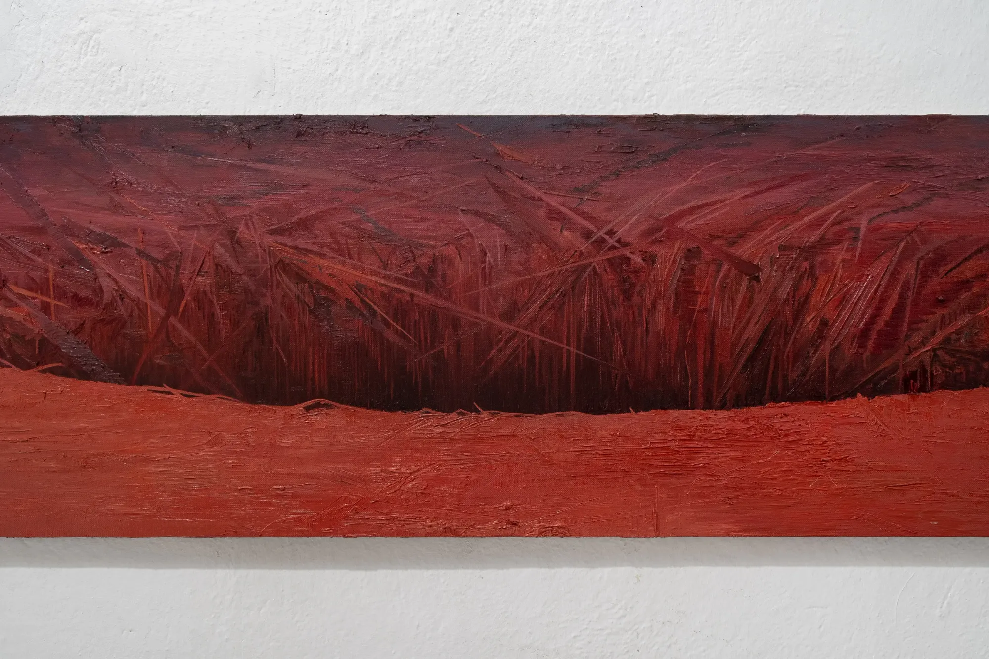 Kamil Kukla, Silva, Pani Domu, Poznań, 2026, detail, Pit, dark red furrow of grass