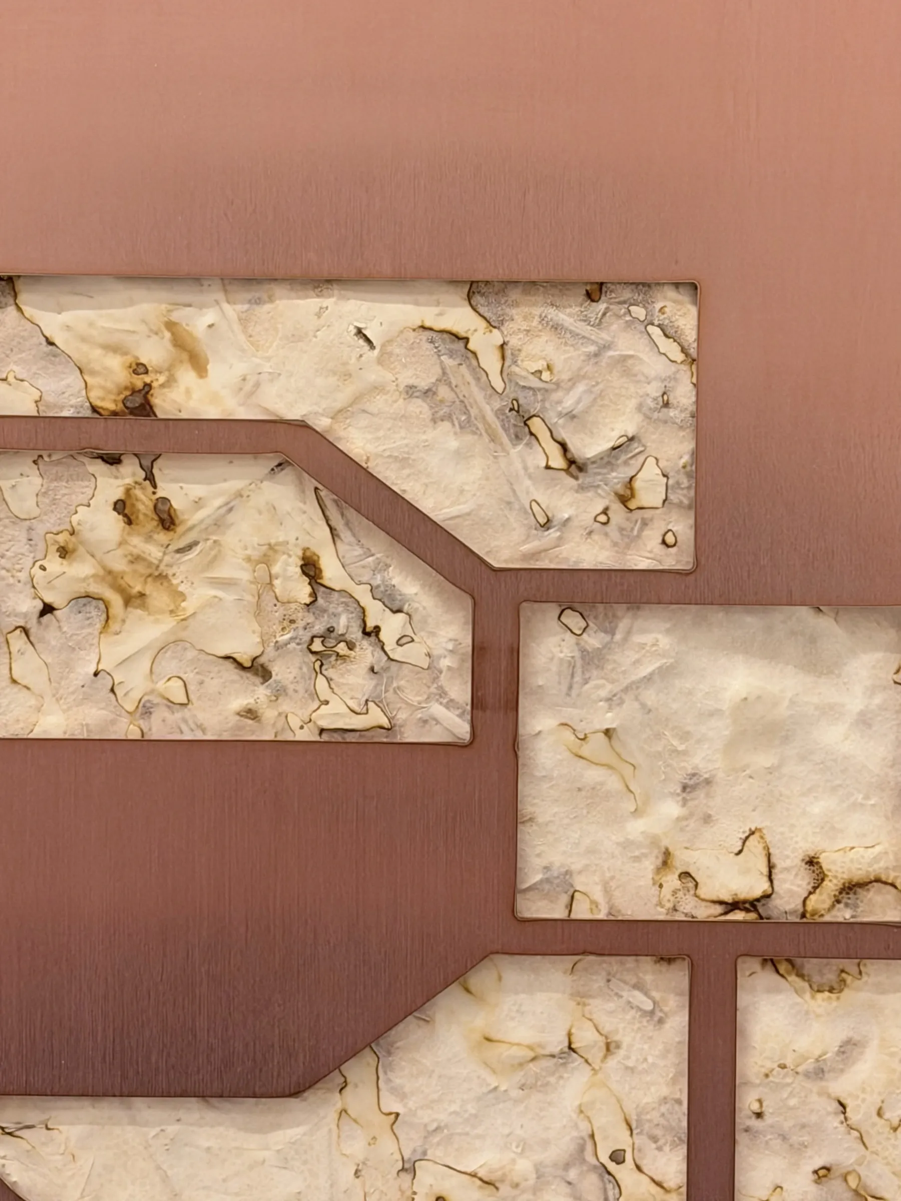 Patrick Bérubé, Memory (detail), (Ce)pendant [(Now)ever], Musée d'art de Joliette, 2026, close view of a mycelium relief fragment