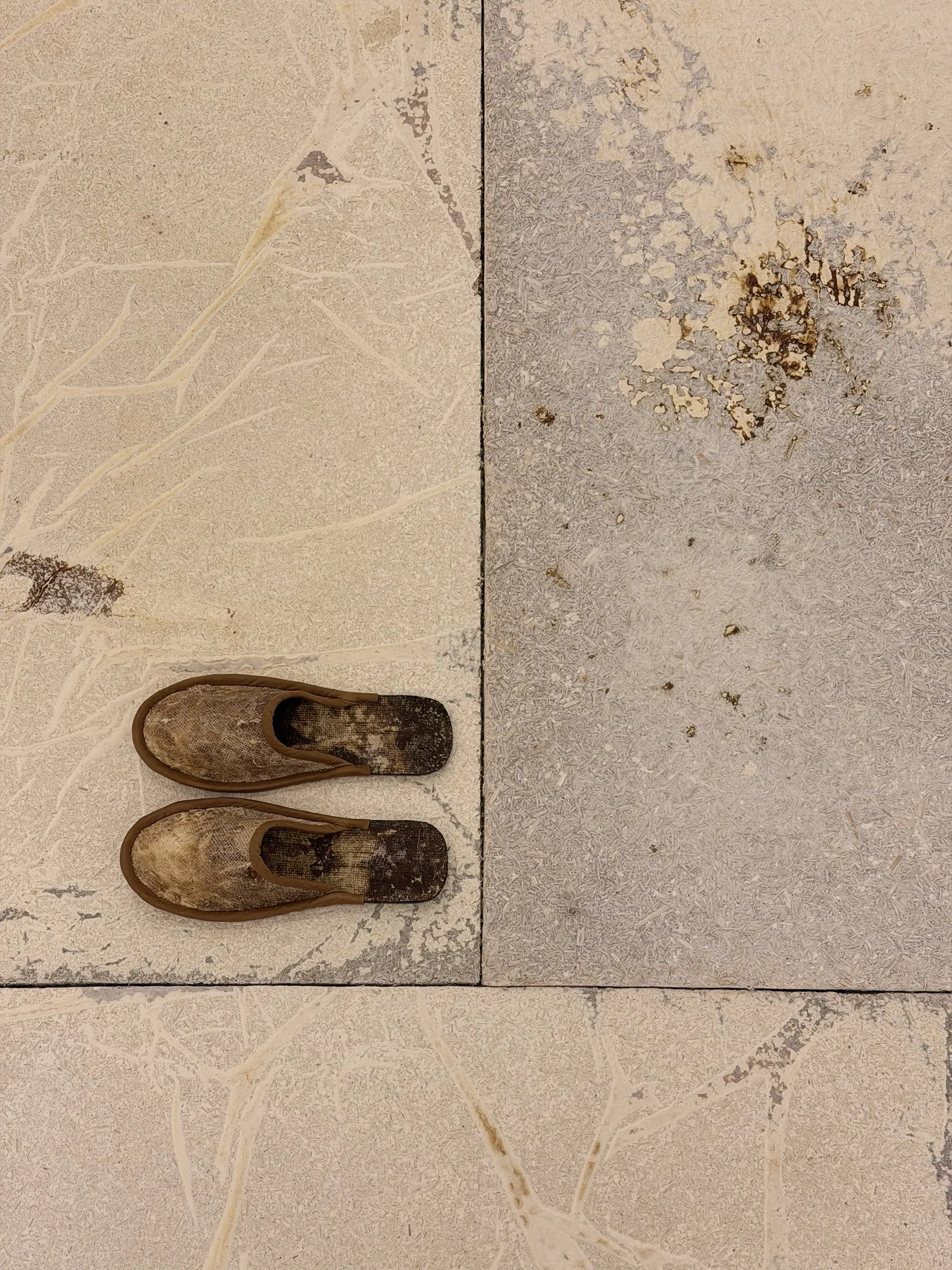 Patrick Bérubé, Adaptation, (Ce)pendant [(Now)ever], Musée d'art de Joliette, 2026, mycelium leather slippers on embossed paper tile
