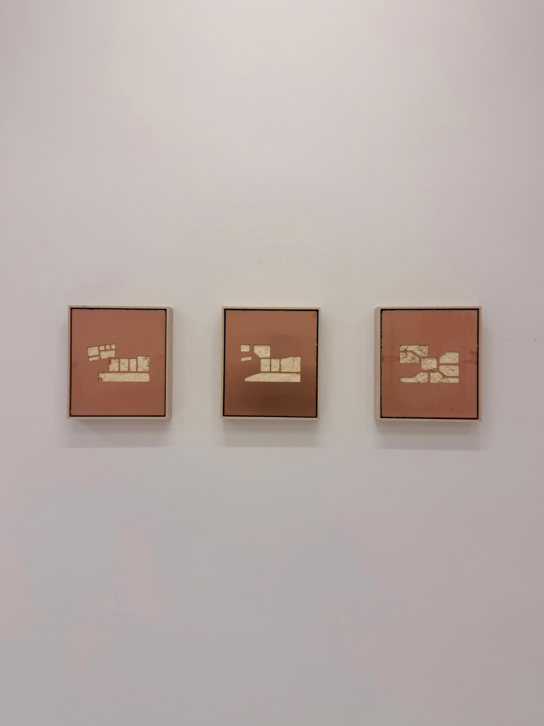 Patrick Bérubé, Memory, (Ce)pendant [(Now)ever], Musée d'art de Joliette, 2026, three small framed mycelium reliefs