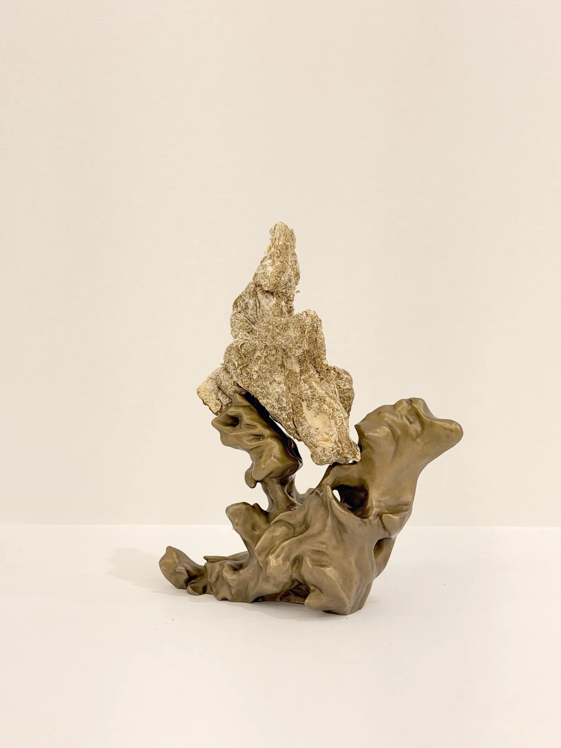 Patrick Bérubé, Oîkos/Lógos, (Ce)pendant [(Now)ever], Musée d'art de Joliette, 2026, branching bronze and mycelium form on a plinth