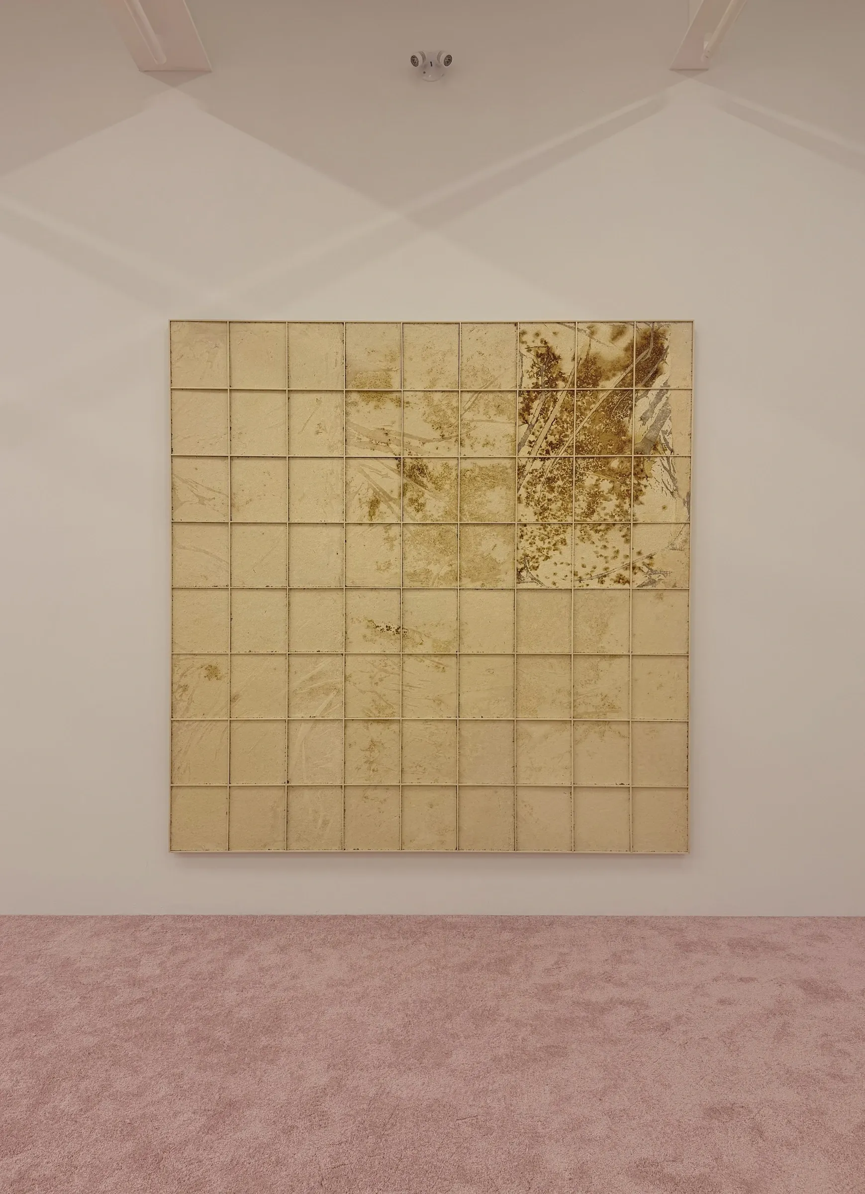 Patrick Bérubé, Window, (Ce)pendant [(Now)ever], Musée d'art de Joliette, 2026, wall grid of mycelium panes