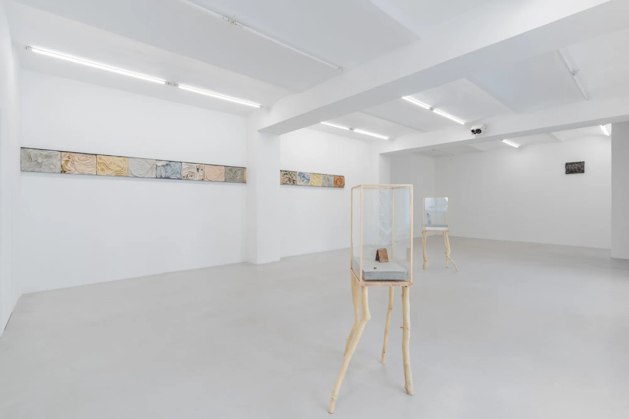 Exhibition review of Agnieszka Topolska: Call It Fate, Call It Karma at Galeria Skala, Poznań, 2026. Gallery view with two glass display cases on wood branch legs beside a closed white door.