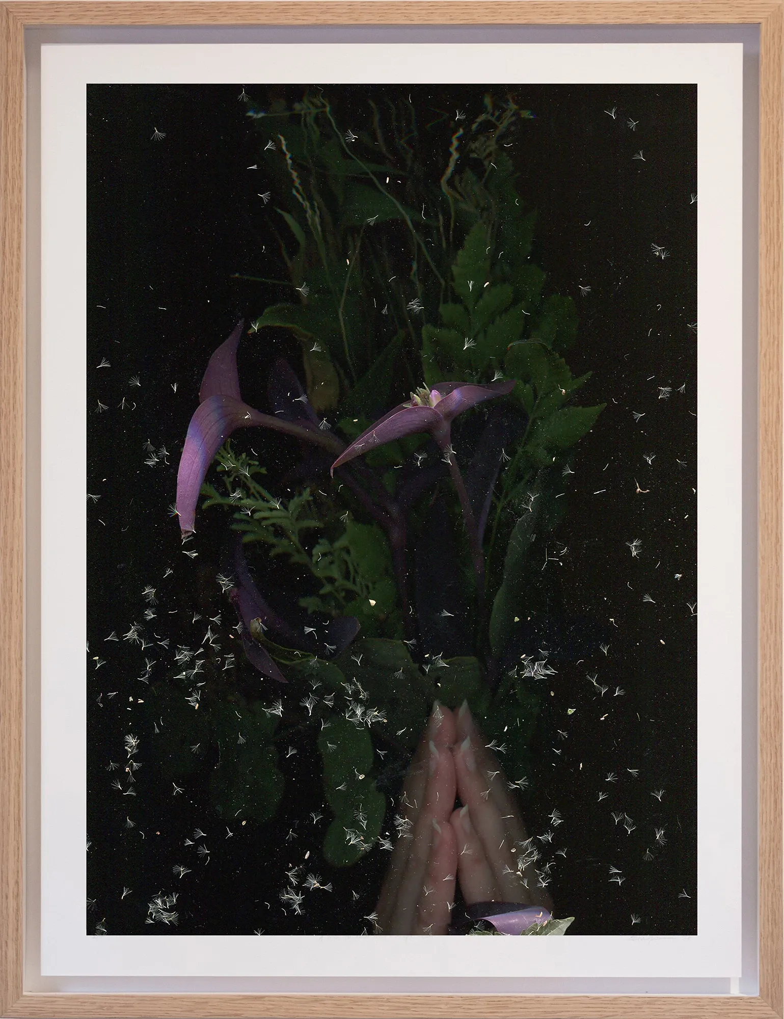 Exhibition review of Elena Adamou: Iconographies at primopiano, Montesilvano, 2026. Framed photograph of clasped hands amid scattered seeds and wild flowers.