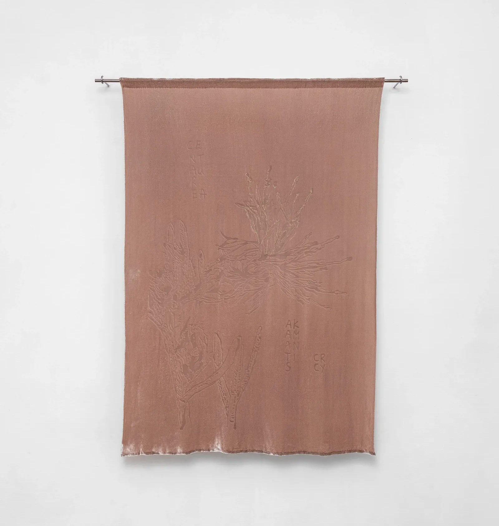 Exhibition review of Elena Adamou: Iconographies at primopiano, Montesilvano, 2026. Terracotta devoré velvet textile with a burnt-out motif of Centaurea akamantis.