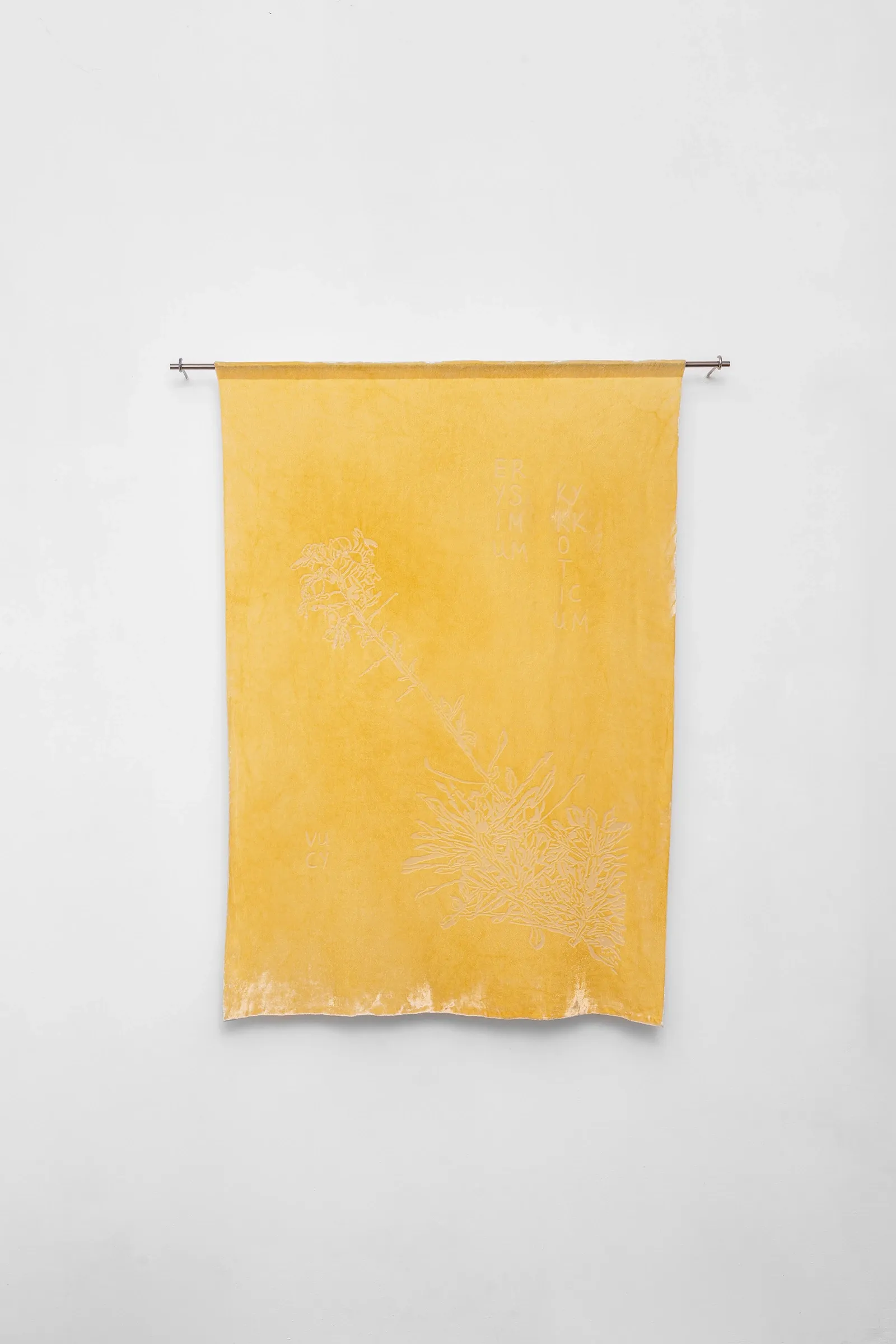 Exhibition review of Elena Adamou: Iconographies at primopiano, Montesilvano, 2026. Yellow devoré velvet textile with a burnt-out motif of Erysimum kykkoticum.