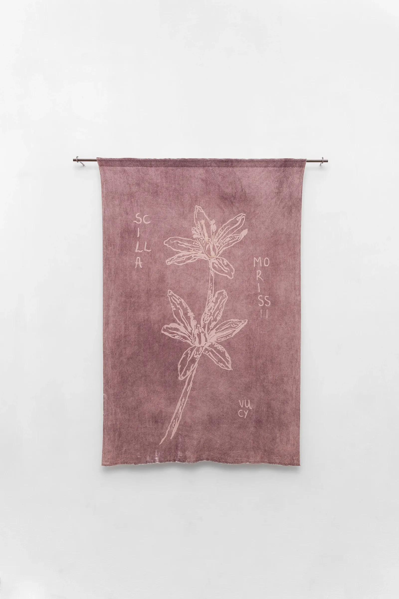 Catapult contemporary review Exhibition review of Elena Adamou: Iconographies at primopiano, Montesilvano, 2026. Dusty pink devoré velvet textile with a burnt-out motif of Scilla morrisii.
