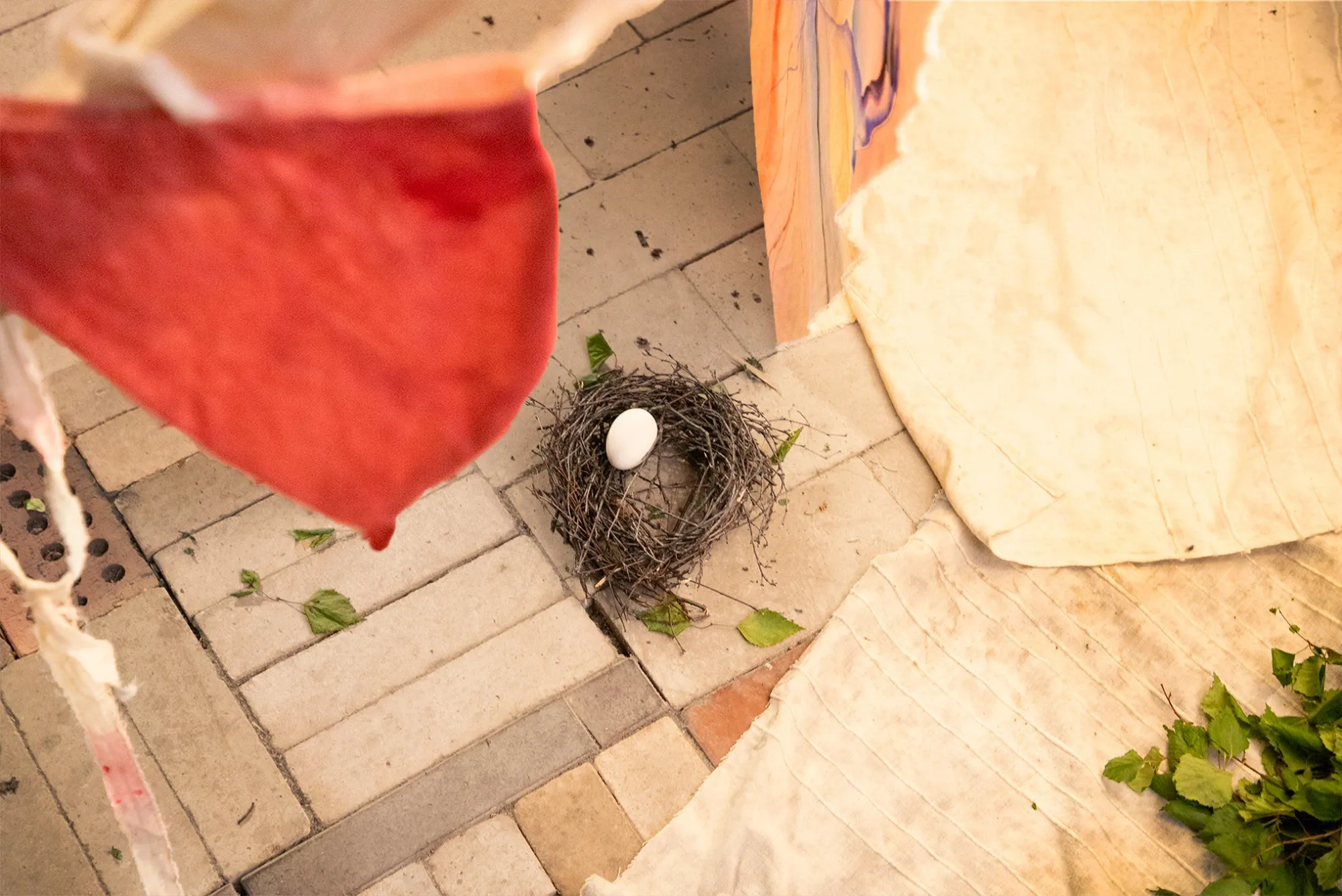 Exhibition review of Juae Park: White Nights at AaltoSiilo, Oulu, 2026, close-up detail showing a twig nest with a single egg beside painted fabric.