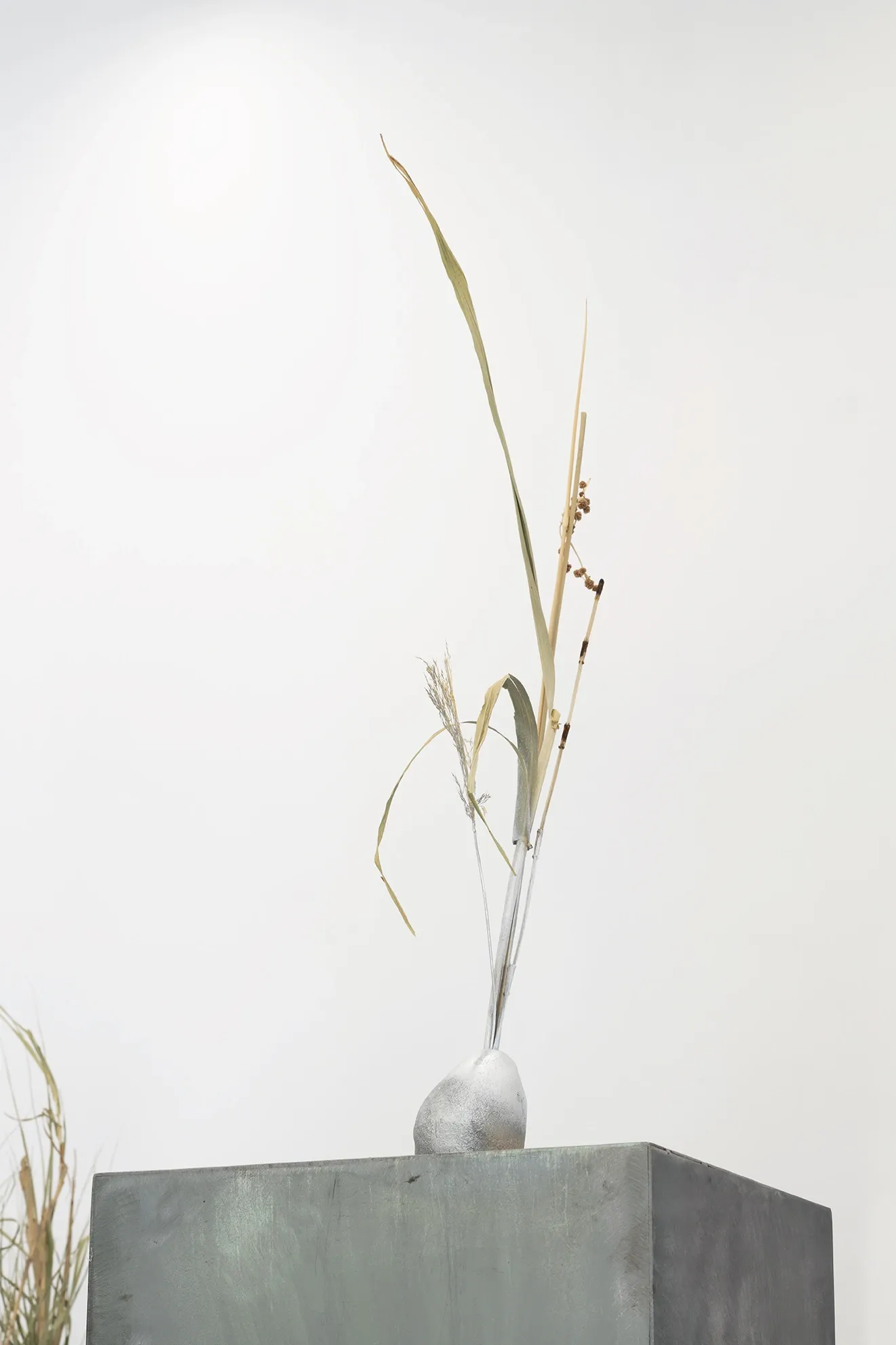 Exhibition review of Leah Dixon: Tartan Tartana at Spiritvessel, Espinavessa, 2026. A dried grass blade rises from a small pale onion-shaped vessel on a steel plinth.