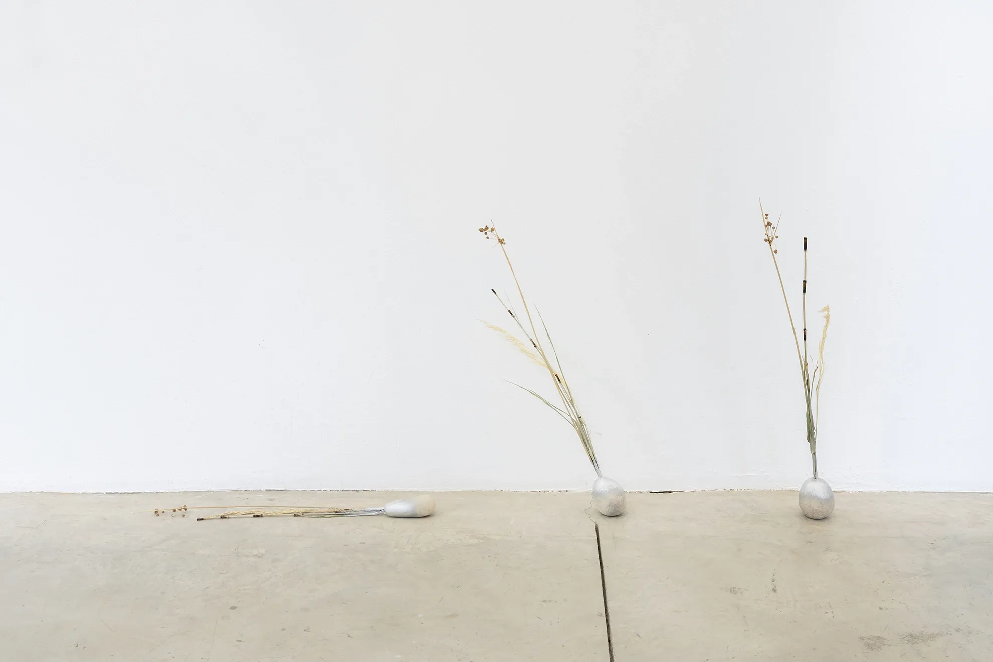 Exhibition review of Leah Dixon: Tartan Tartana at Spiritvessel, Espinavessa, 2026. Two dried grass blades rise from small resin onion vessels against a bare wall.