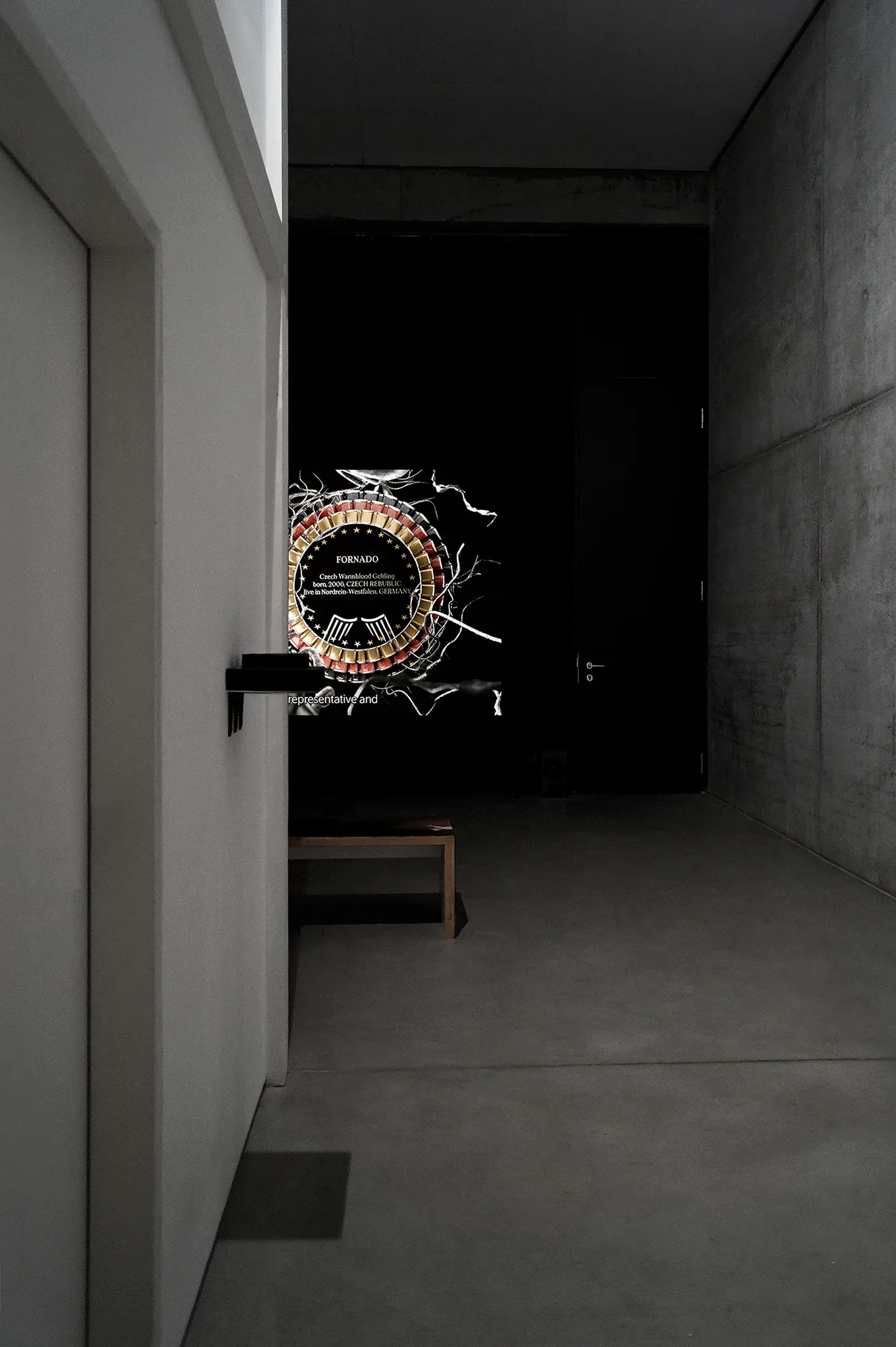 Exhibition review of Daria Maiier: The Solemnity of the Repulsive at ROAM projects e.V., Berlin, 2026. Video still of a circular pedigree card reading Fornado over frayed white cable-like drawing.