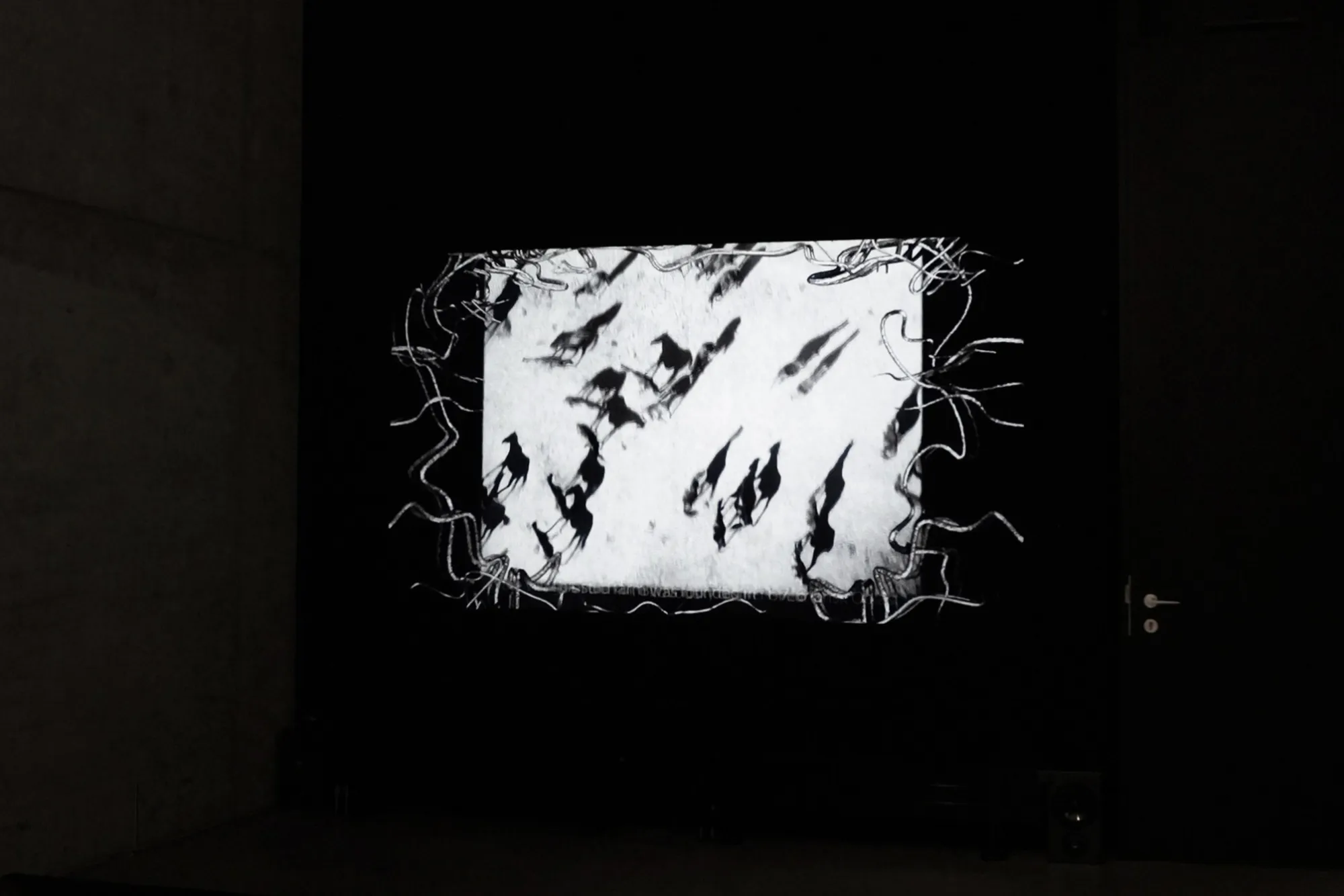 Exhibition review of Daria Maiier: The Solemnity of the Repulsive at ROAM projects e.V., Berlin, 2026. Video still of a herd of horses rendered as black silhouettes running across a pale field.