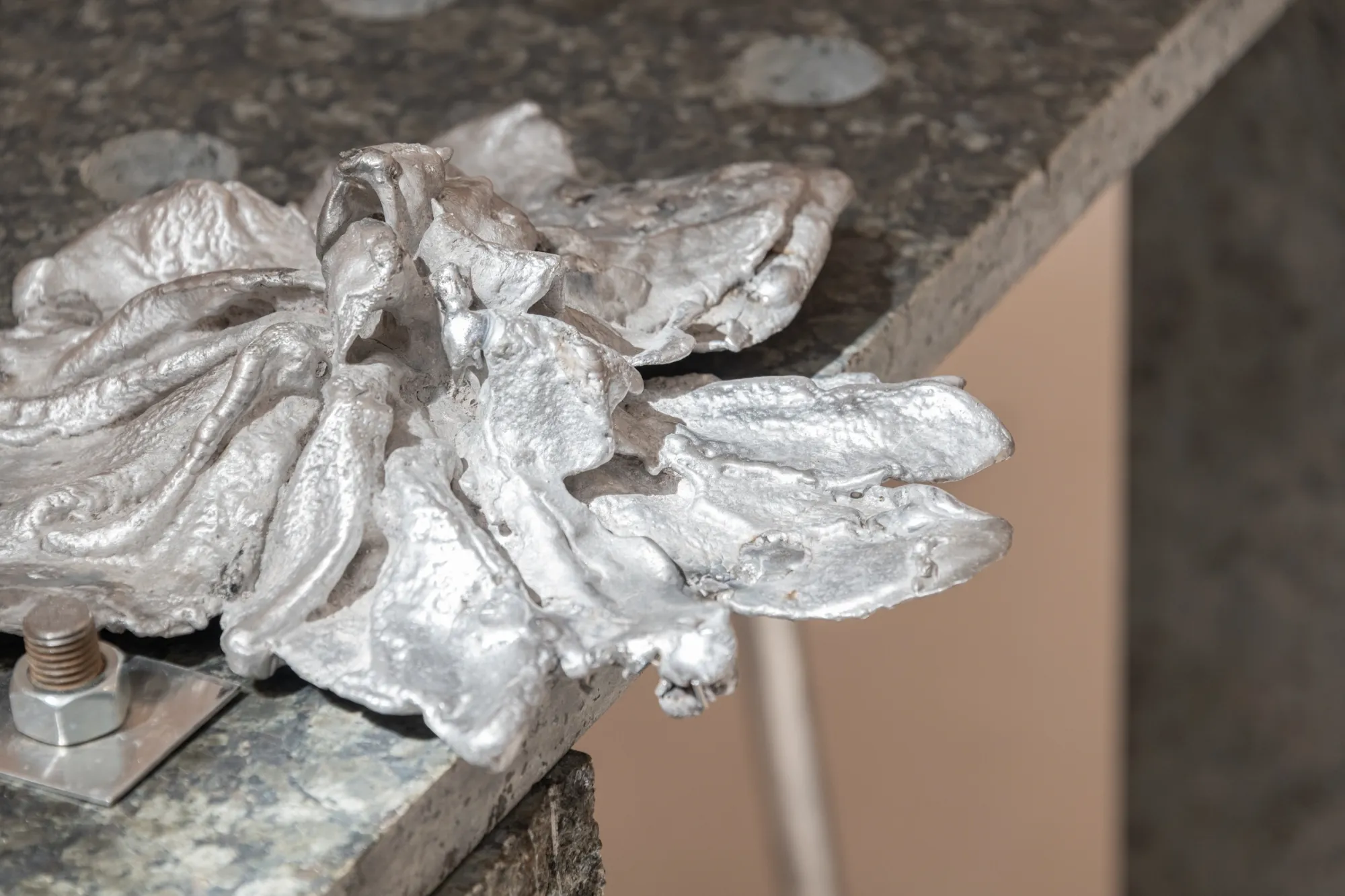 Exhibition review of Maija Fox: As the sap rises at OUTPOST, Norwich, 2026. Close-up of a silver cast aluminium flower with folded, petal-like ridges.