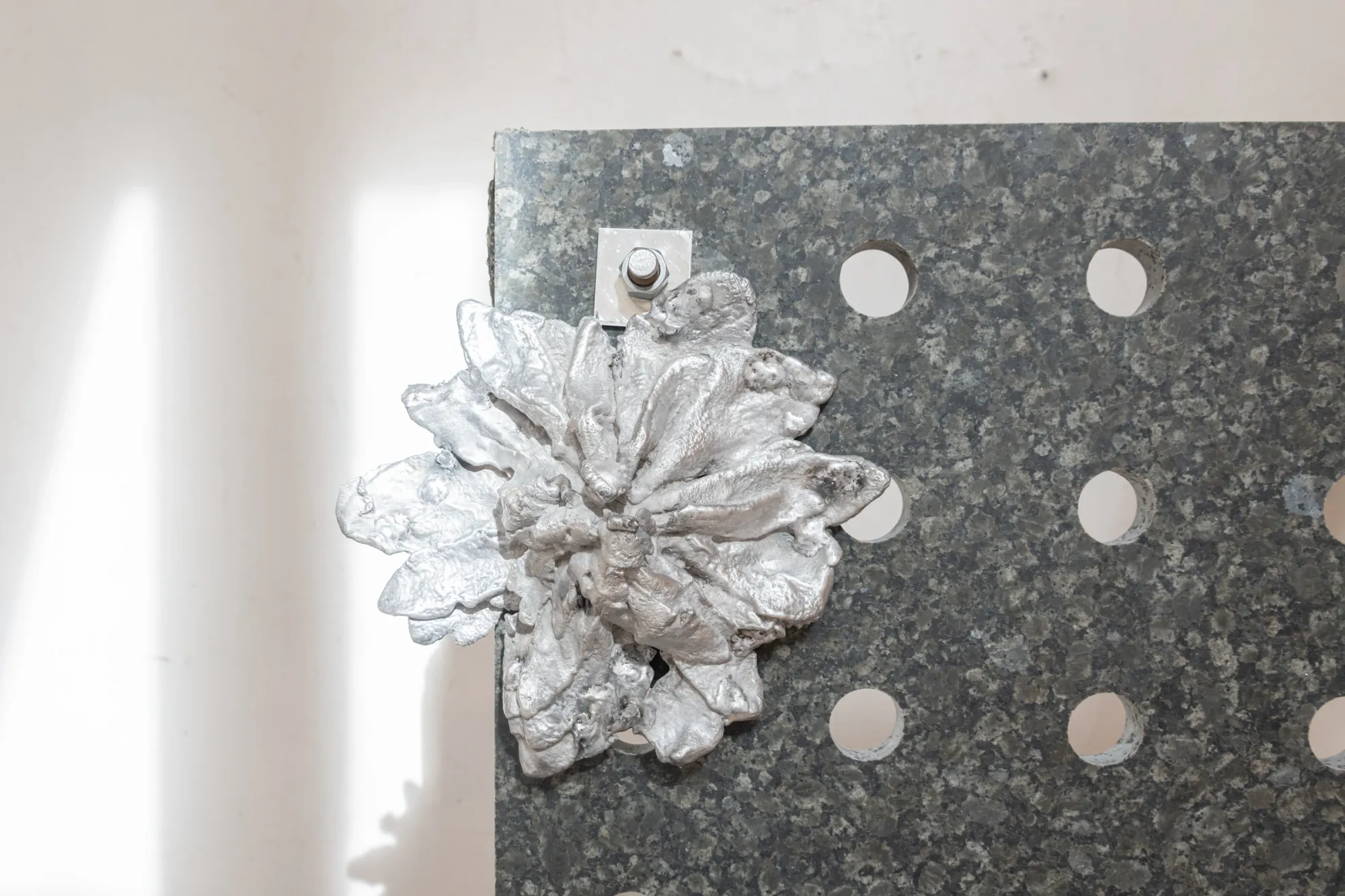 Exhibition review of Maija Fox: As the sap rises at OUTPOST, Norwich, 2026. A silver cast aluminium flower on a granite tabletop punctured with round holes.