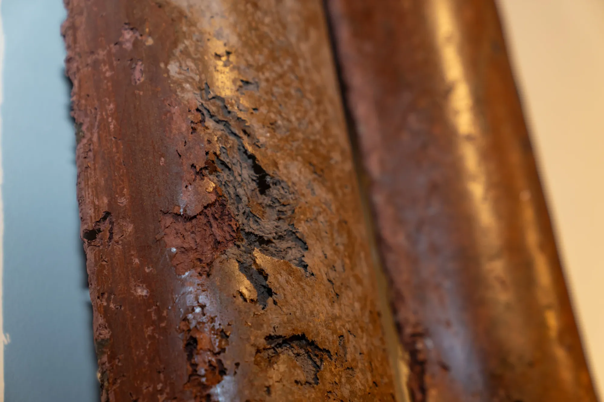 Exhibition review of Sonnhild Essl: TRANSFER at Kulturforum Laßnitzhaus, Deutschlandsberg, 2026. Close-up of a rust-toned paper mâché cast showing pitted, weathered surface texture.