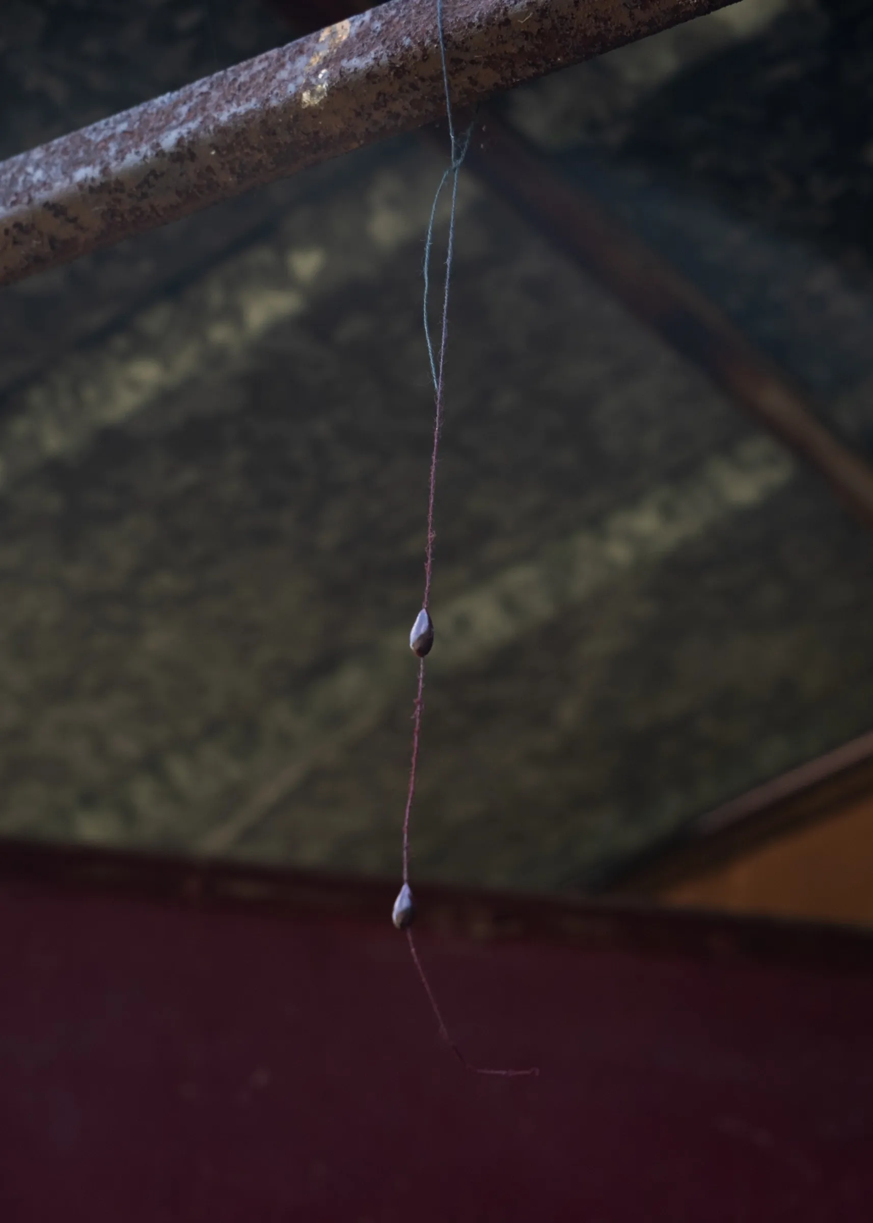 Exhibition review of Tsvetomira Borisova: A Hot Day at lo3eto, Vetren dol, 2026. Two dark apple seeds strung on a thin thread hanging from a rusted metal pipe.