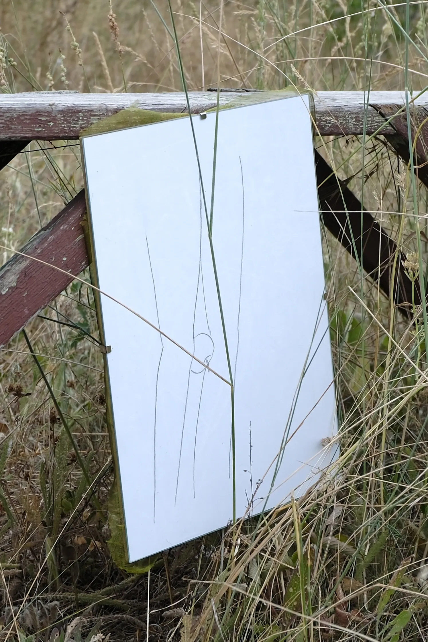 Exhibition review of Tsvetomira Borisova: A Hot Day at lo3eto, Vetren dol, 2026. A framed pencil drawing of knees leaning against a wooden bench in tall grass.