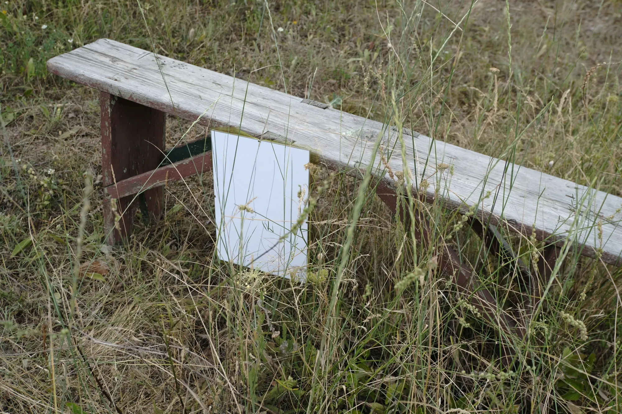 Exhibition review of Tsvetomira Borisova: A Hot Day at lo3eto, Vetren dol, 2026. A glass-framed drawing on a weathered bench surrounded by a wildflower meadow.