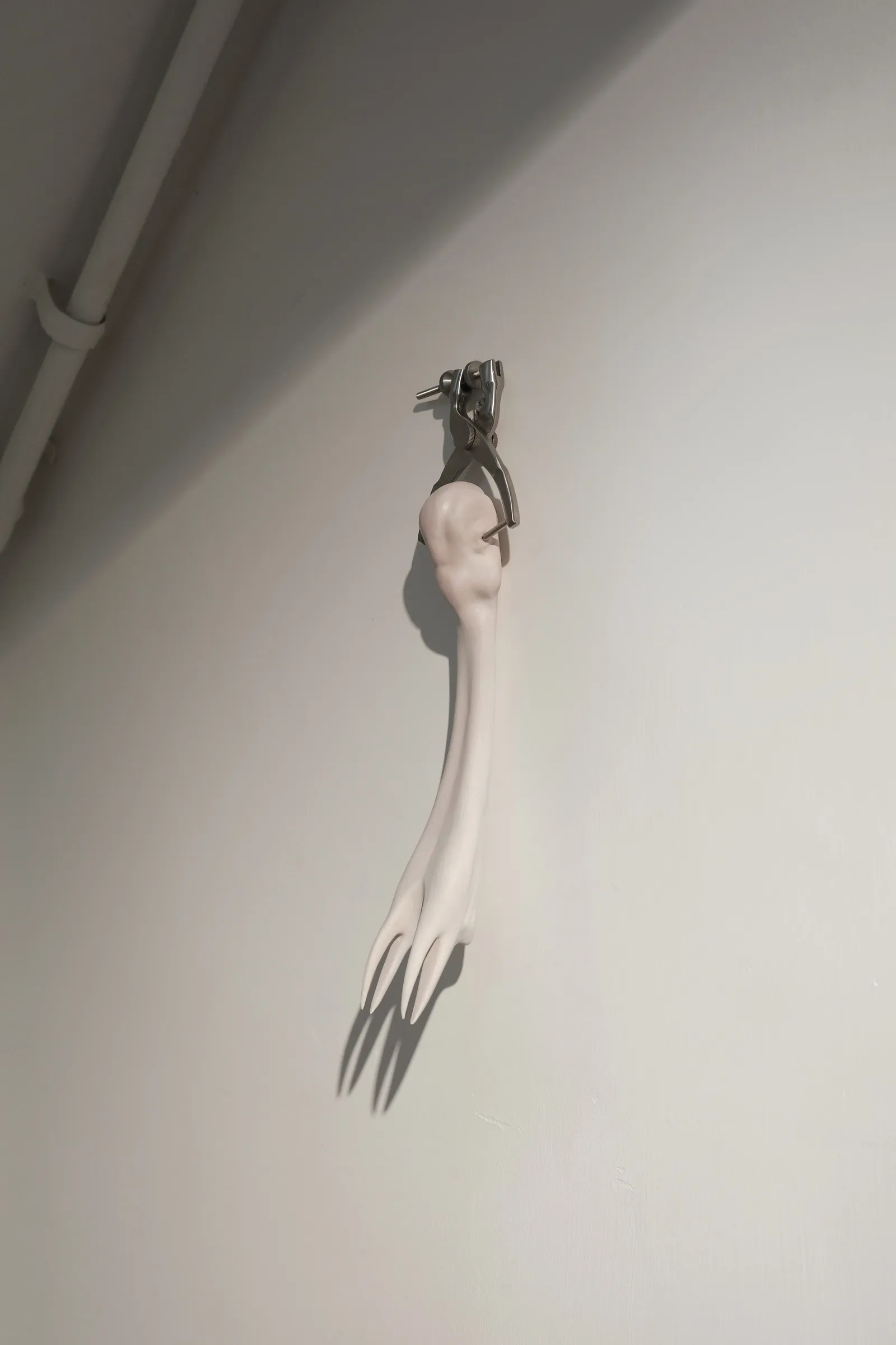Exhibition review of Eva Chenyao He: Procrustean at COLLECTA, Shanghai, 2026. A resin limb clamped by a stainless steel cranial retractor.