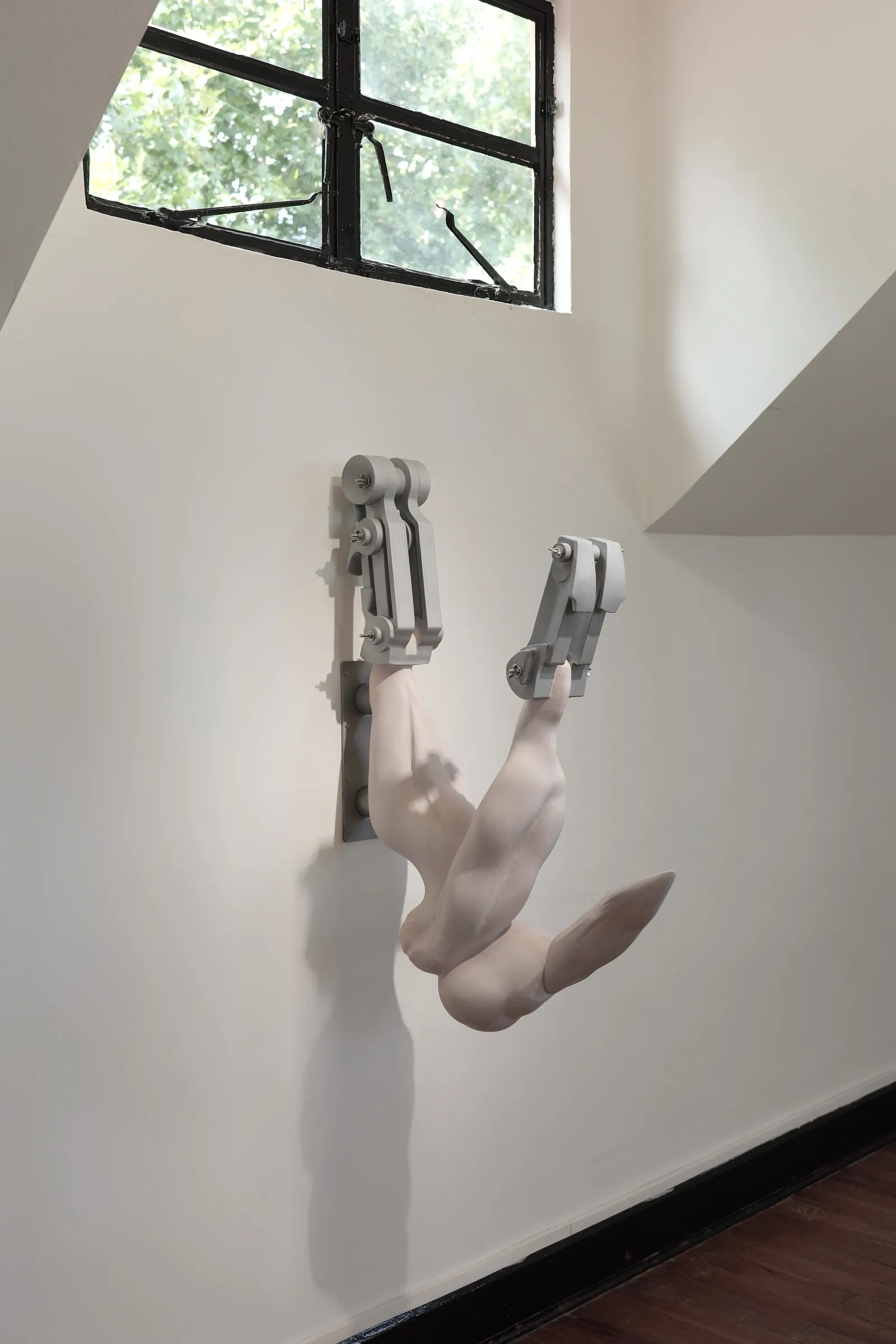 Exhibition review of Eva Chenyao He: Procrustean at COLLECTA, Shanghai, 2026. Two resin legs and a fin hang upside down from steel clamps