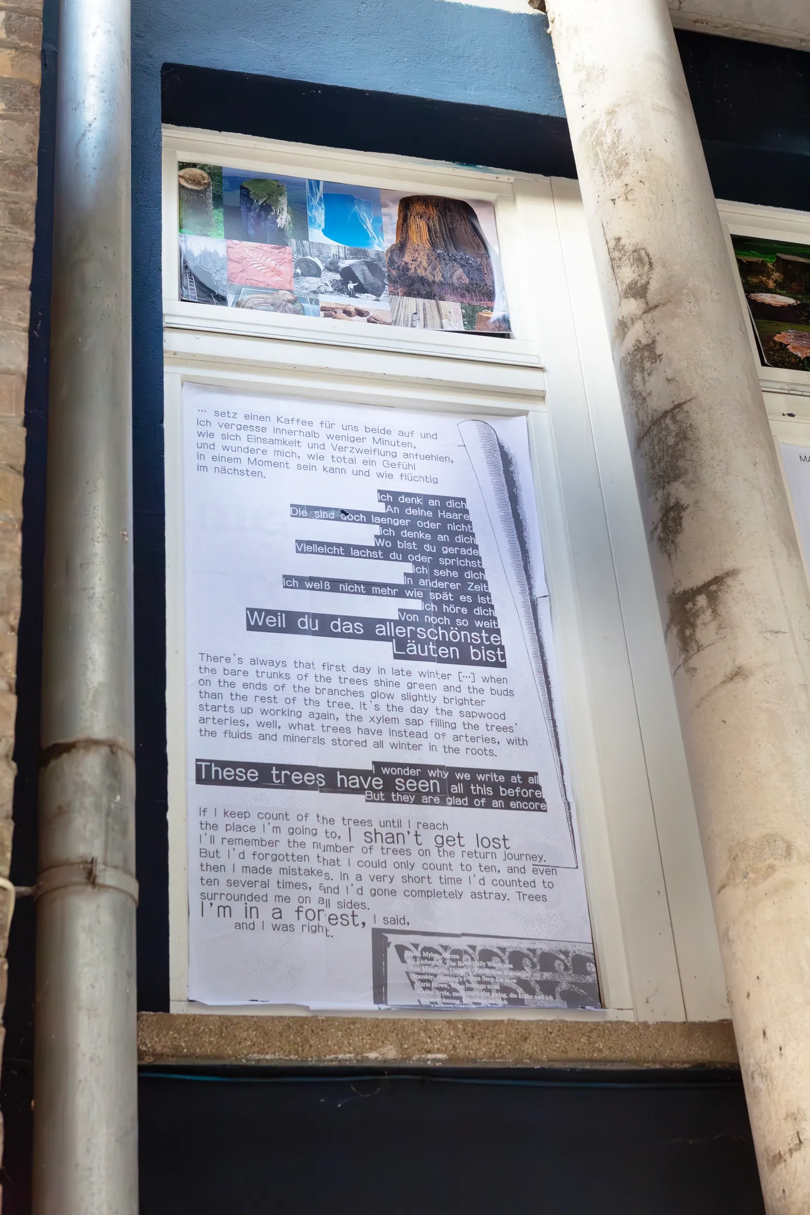 Exhibition review of Florian ∞ Emden: A Charm of Powerful Trouble at ACUD Galerie, Berlin, 2026. Laser-printed poem pages mounted in a street-facing window between brick pilasters.