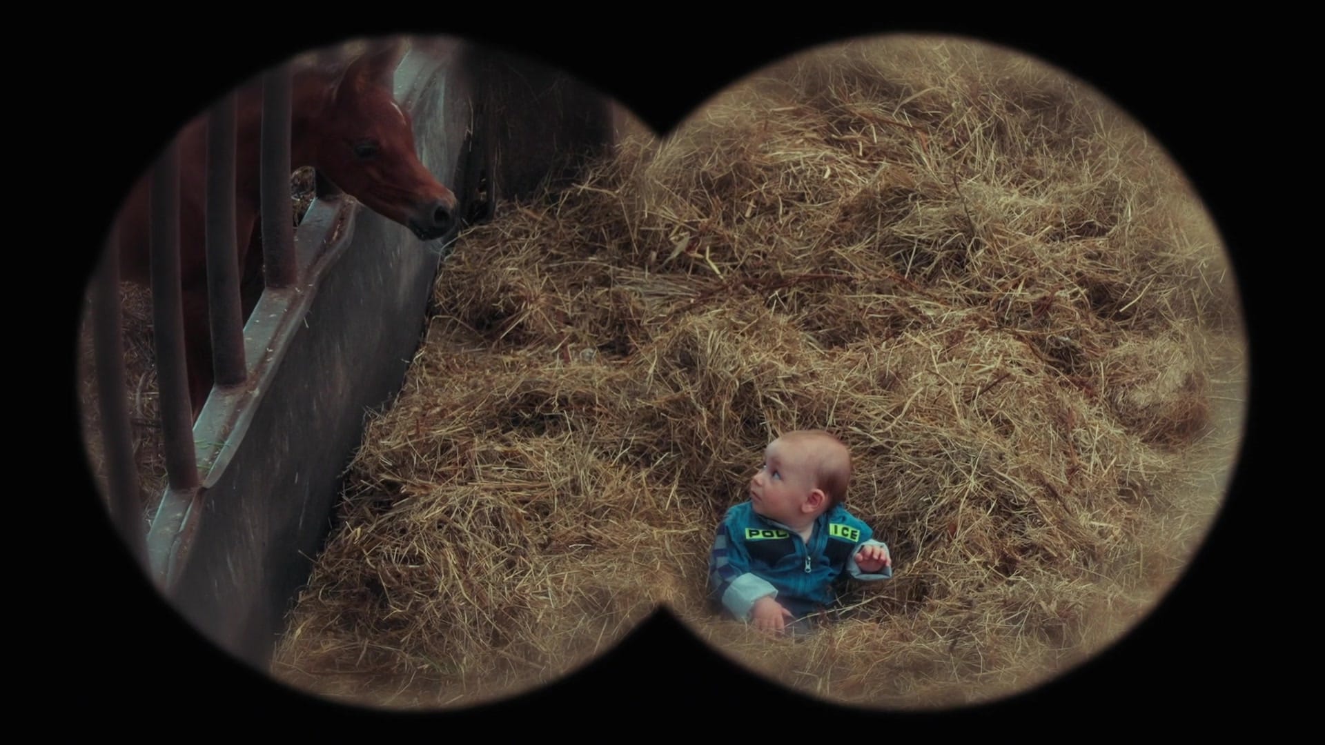 Exhibition review of Josefin Arnell: A Charm of Powerful Trouble at ACUD Galerie, Berlin, 2026. Split-frame video still of a horse's head beside an infant lying in hay.