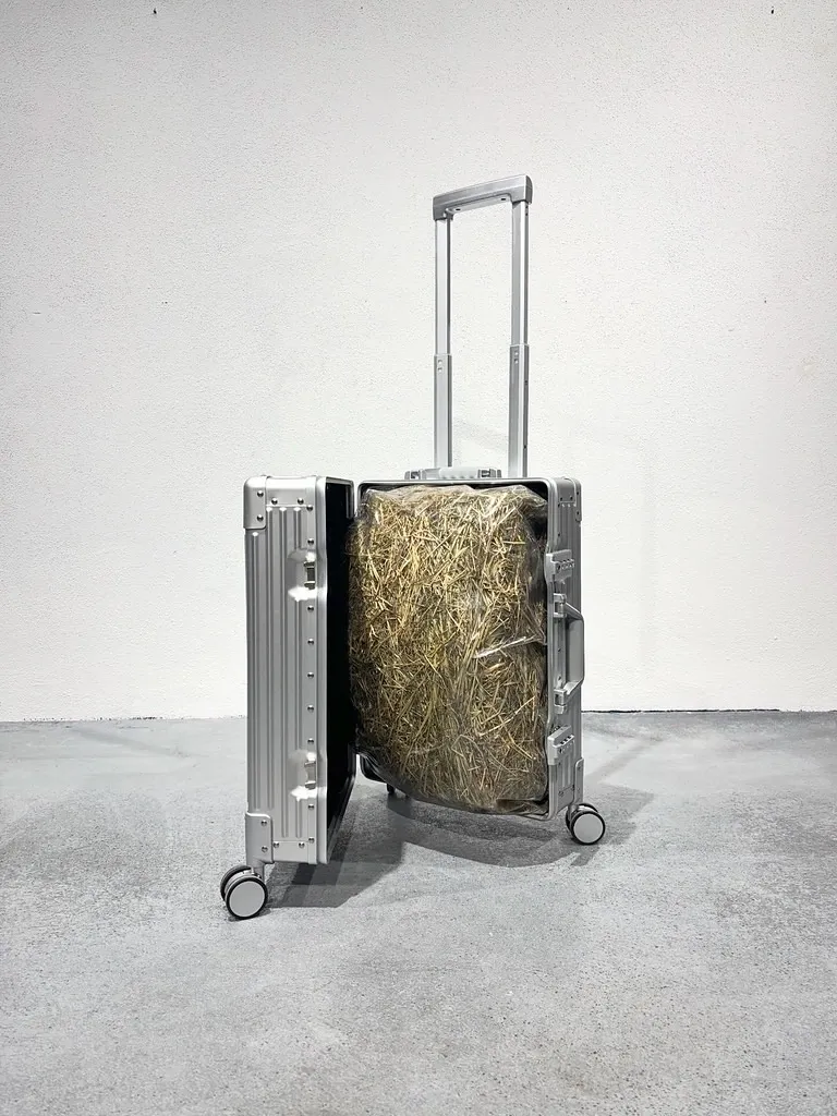 parallel vienna 2026, artist Lukas Weithas, artwork, trolly with heu