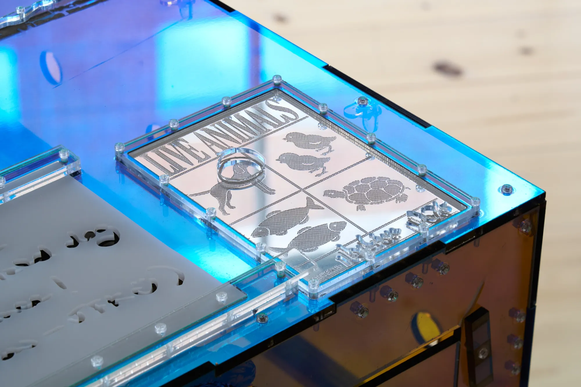 Exhibition review of Villiam Miklos Andersen: Sequence for an Optimal Dispatch at aaaa nordhavn, Copenhagen, 2026. Engraved LIVE ANIMALS label plate screwed onto a blue acrylic crate lid.
