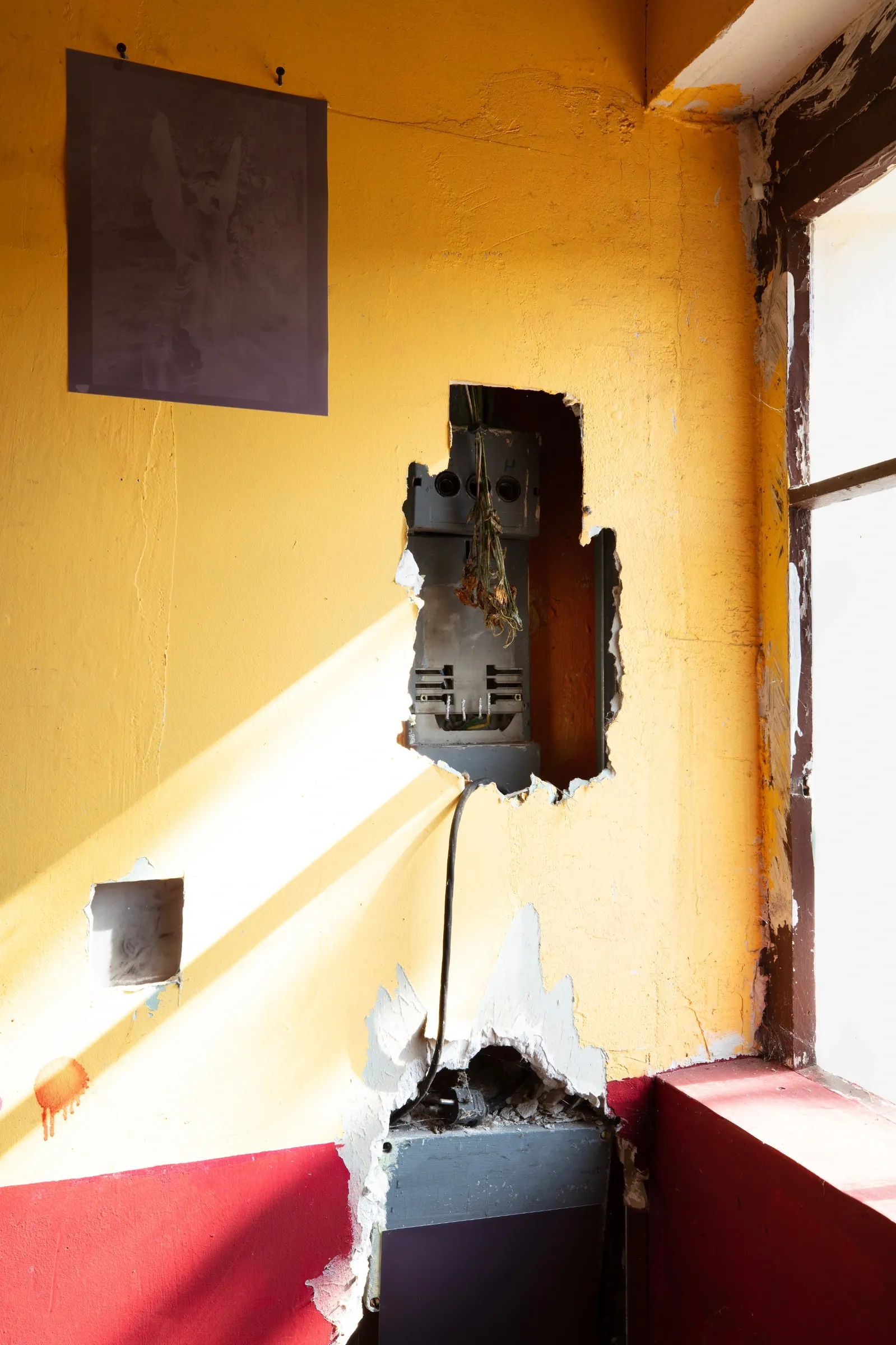 Aubrey&nbsp;Theobald&nbsp;and&nbsp;Kristina&nbsp;Popov,&nbsp;Phantom&nbsp;Pförtnerhaus&nbsp;Chapter&nbsp;3,&nbsp;Berlin,&nbsp;2026.&nbsp;Exposed&nbsp;fuse&nbsp;box&nbsp;in&nbsp;a&nbsp;yellow&nbsp;wall&nbsp;with&nbsp;dried&nbsp;flowers,&nbsp;a&nbsp;dark&nbsp;print&nbsp;above&nbsp;and&nbsp;diagonal&nbsp;sunlight.