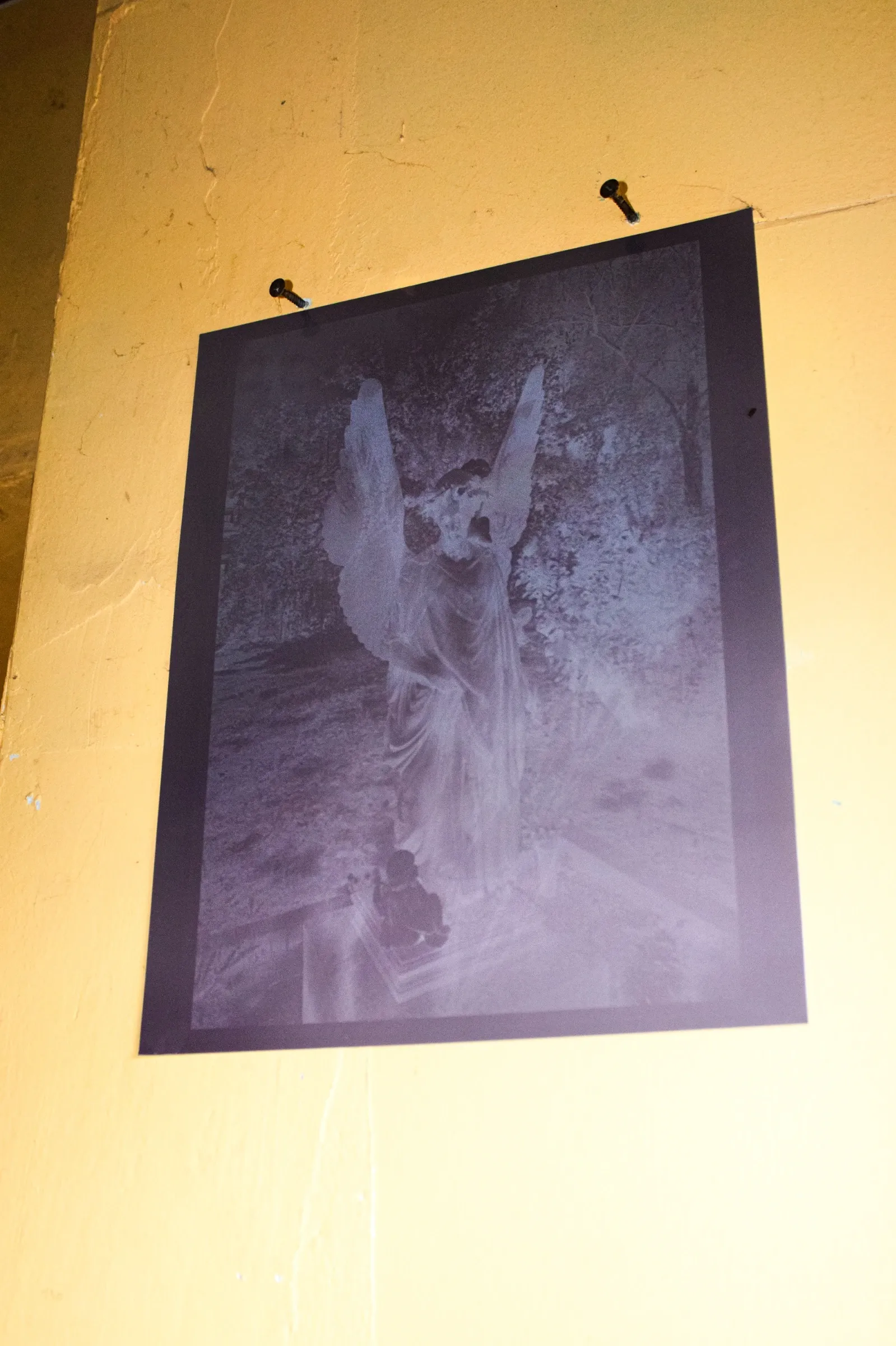 Aubrey&nbsp;Theobald&nbsp;and&nbsp;Kristina&nbsp;Popov,&nbsp;Phantom&nbsp;Pförtnerhaus&nbsp;Chapter&nbsp;3,&nbsp;Berlin,&nbsp;2026.&nbsp;Dark&nbsp;photographic&nbsp;print&nbsp;of&nbsp;a&nbsp;winged&nbsp;cemetery&nbsp;stone&nbsp;figure&nbsp;mounted&nbsp;on&nbsp;a&nbsp;yellow&nbsp;wall.