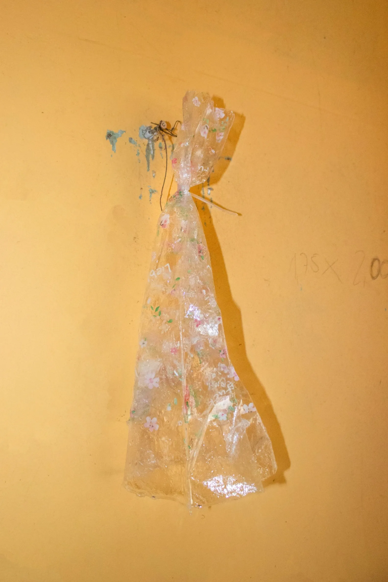 Aubrey&nbsp;Theobald&nbsp;and&nbsp;Kristina&nbsp;Popov,&nbsp;Phantom&nbsp;Pförtnerhaus&nbsp;Chapter&nbsp;3,&nbsp;Berlin,&nbsp;2026.&nbsp;Translucent&nbsp;floral-patterned&nbsp;material&nbsp;hanging&nbsp;from&nbsp;a&nbsp;nail&nbsp;on&nbsp;a&nbsp;yellow&nbsp;wall.
