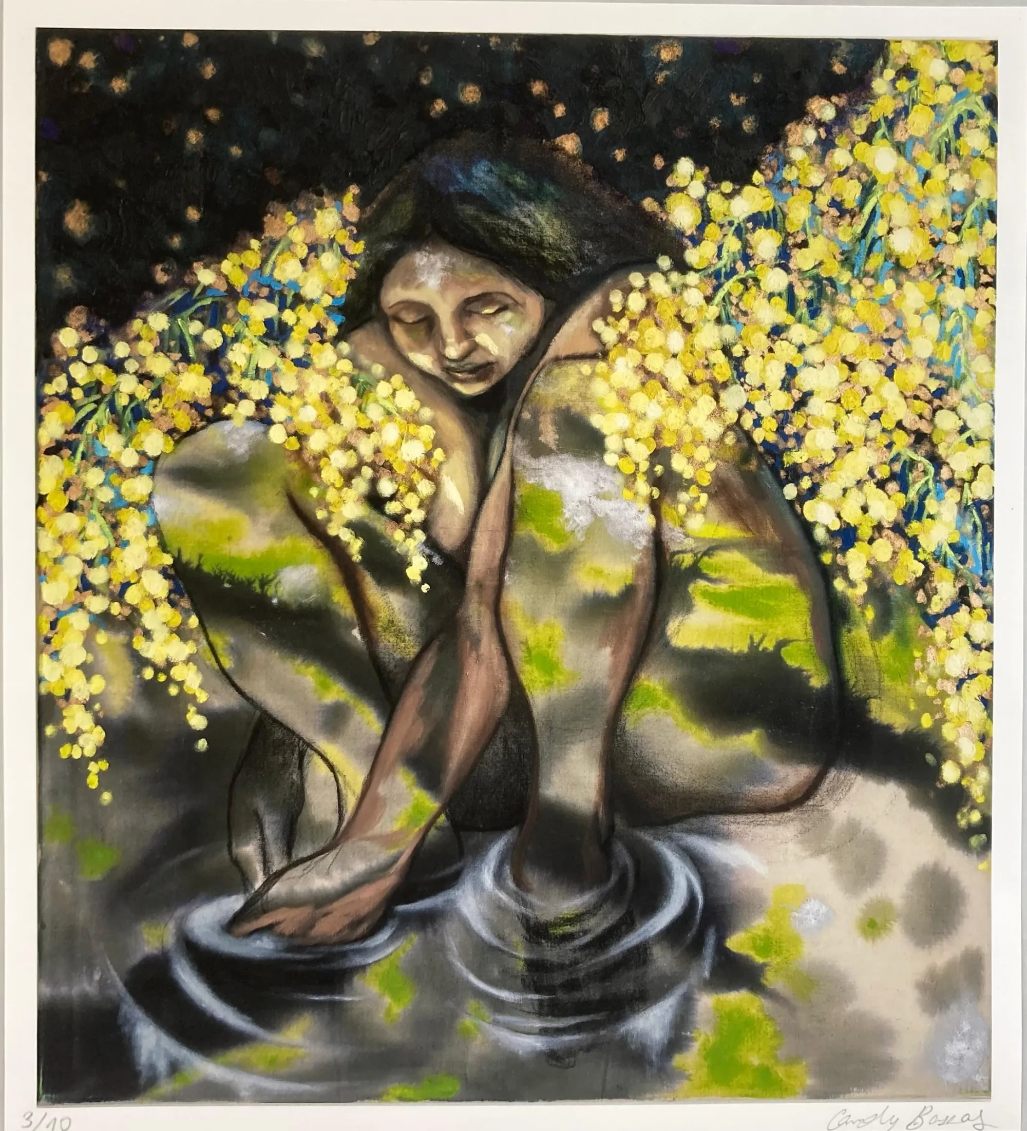 Exhibition review of Candy Bassas: dancing lights at Galerie Mellies, Detmold, 2026. Numbered print of a crouching figure framed by yellow mimosa blossoms.