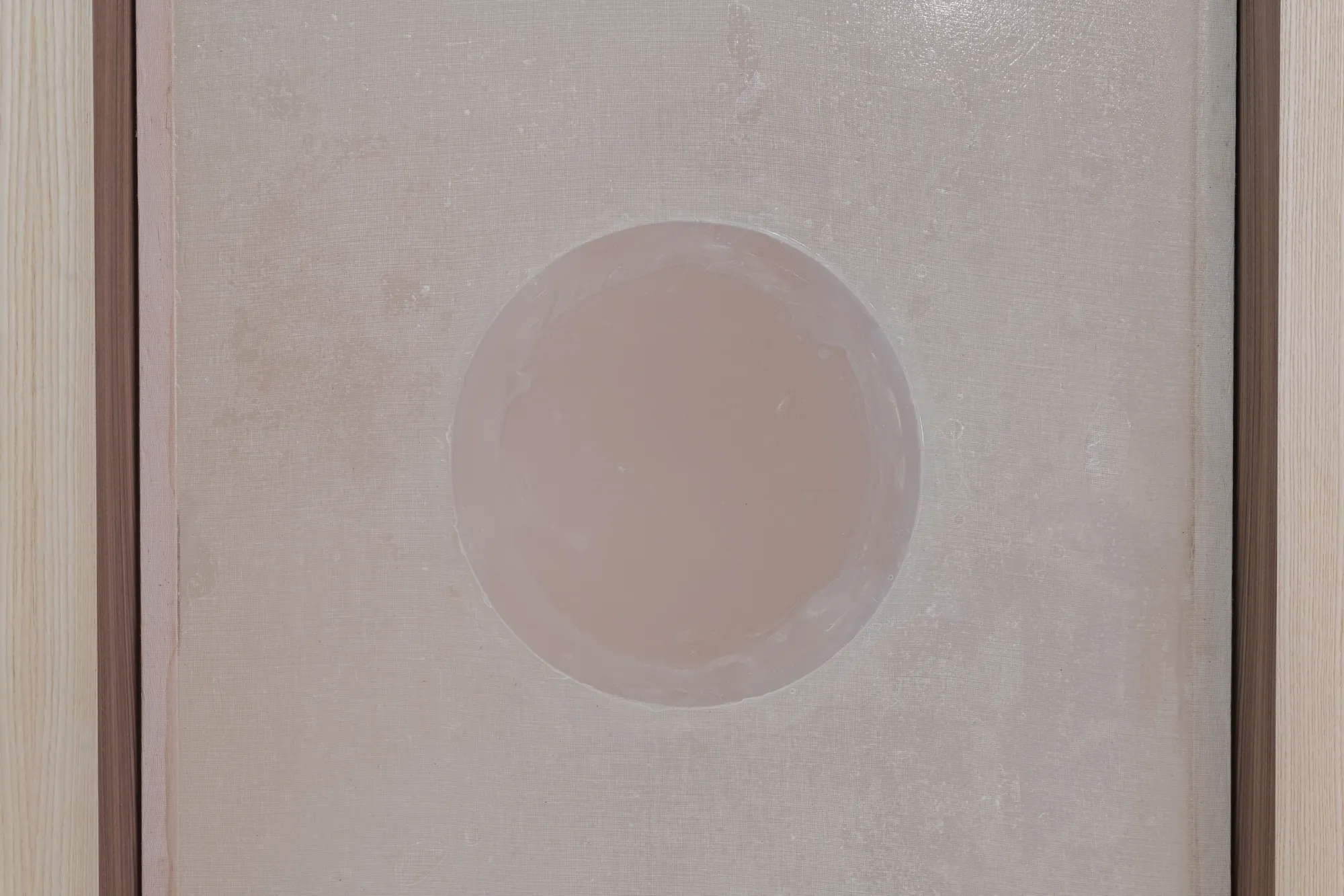 Close-up of a translucent agar membrane and circular patch in Finbar Prior's Tympanum at OUTPOST Gallery, Norwich, 2026.