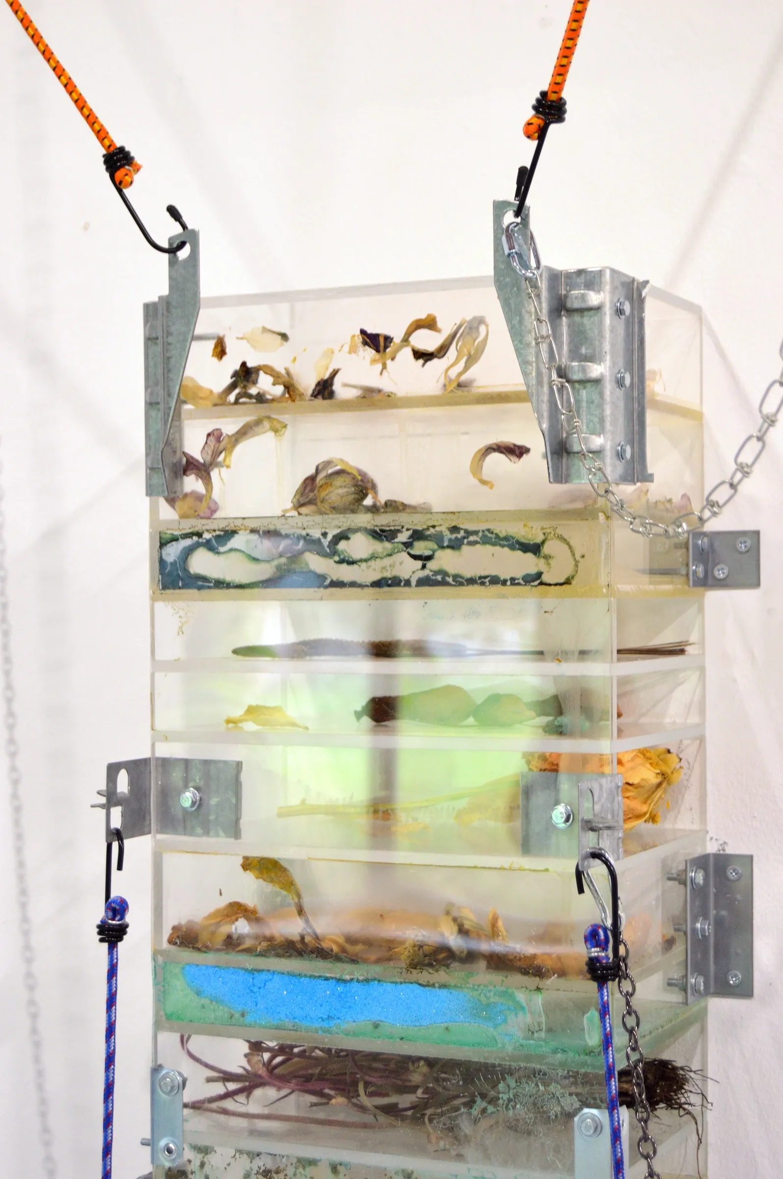 Exhibition review of Gabriel Alonso: A Long Chemical Dream at ATM Galería, Gijón, 2026. Stacked acrylic layers holding dried petals, blue pigment and roots, metal brackets.