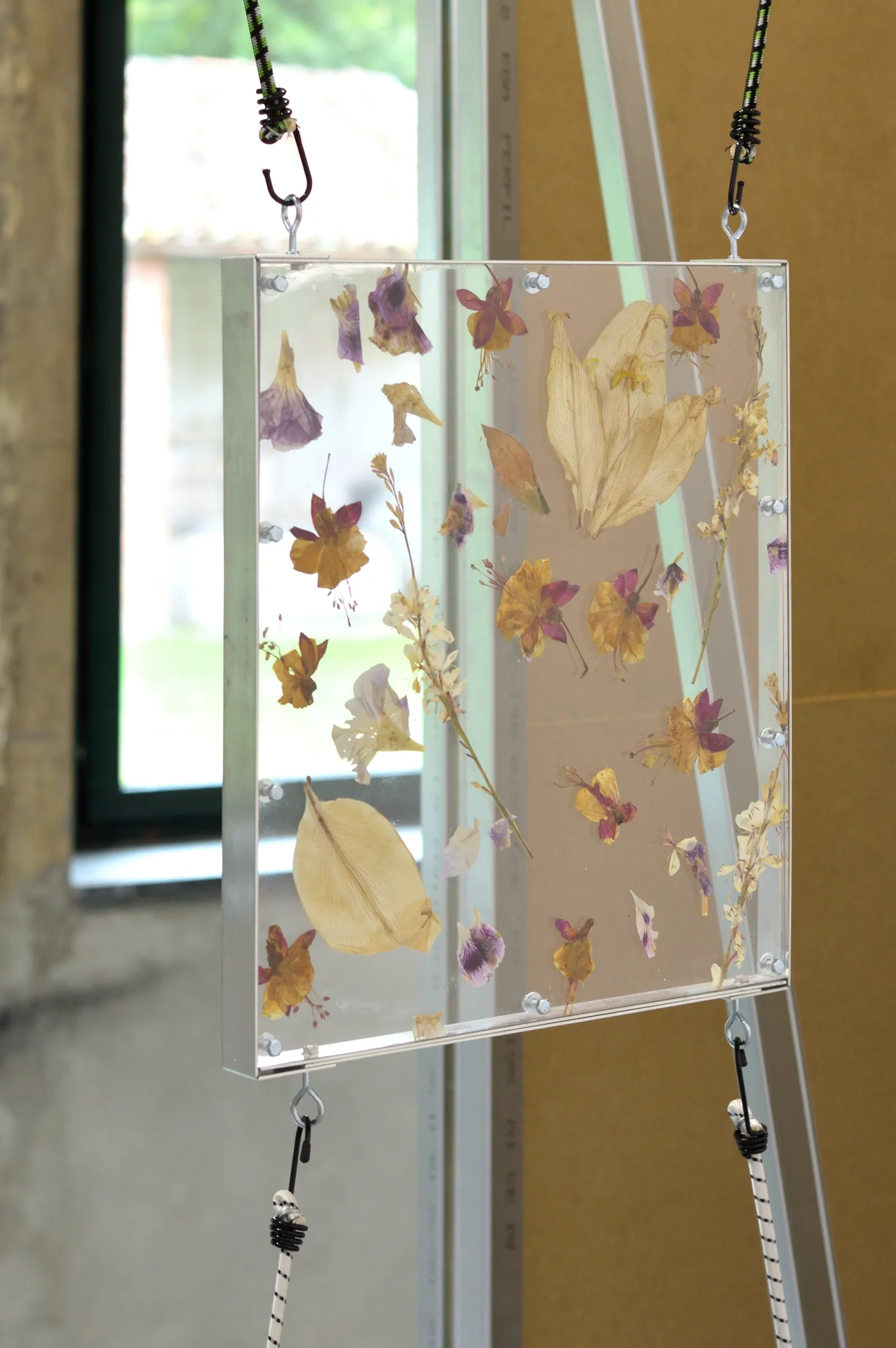 Exhibition review of Gabriel Alonso: A Long Chemical Dream at ATM Galería, Gijón, 2026. Clear acrylic panel of pressed flowers hung from ropes and hooks.