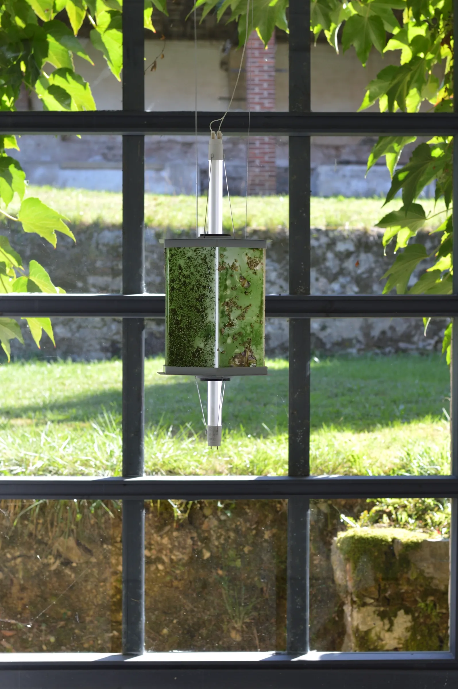Exhibition review of Gabriel Alonso: A Long Chemical Dream at ATM Galería, Gijón, 2026. Cylinder of green plant matter hanging in a barred window above a lawn.