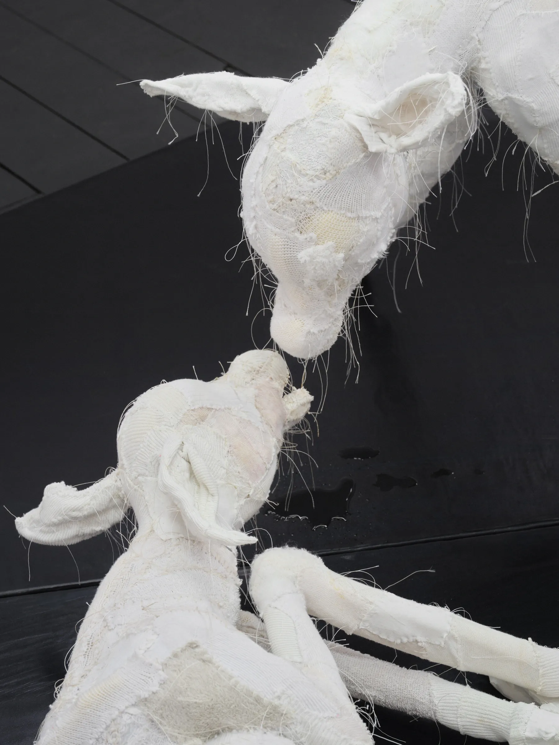 Close-up of two white stitched fabric deer heads touching at the muzzles, with loose threads visible. Jan Baszak, Within and For Each Other, Warsaw, 2026.