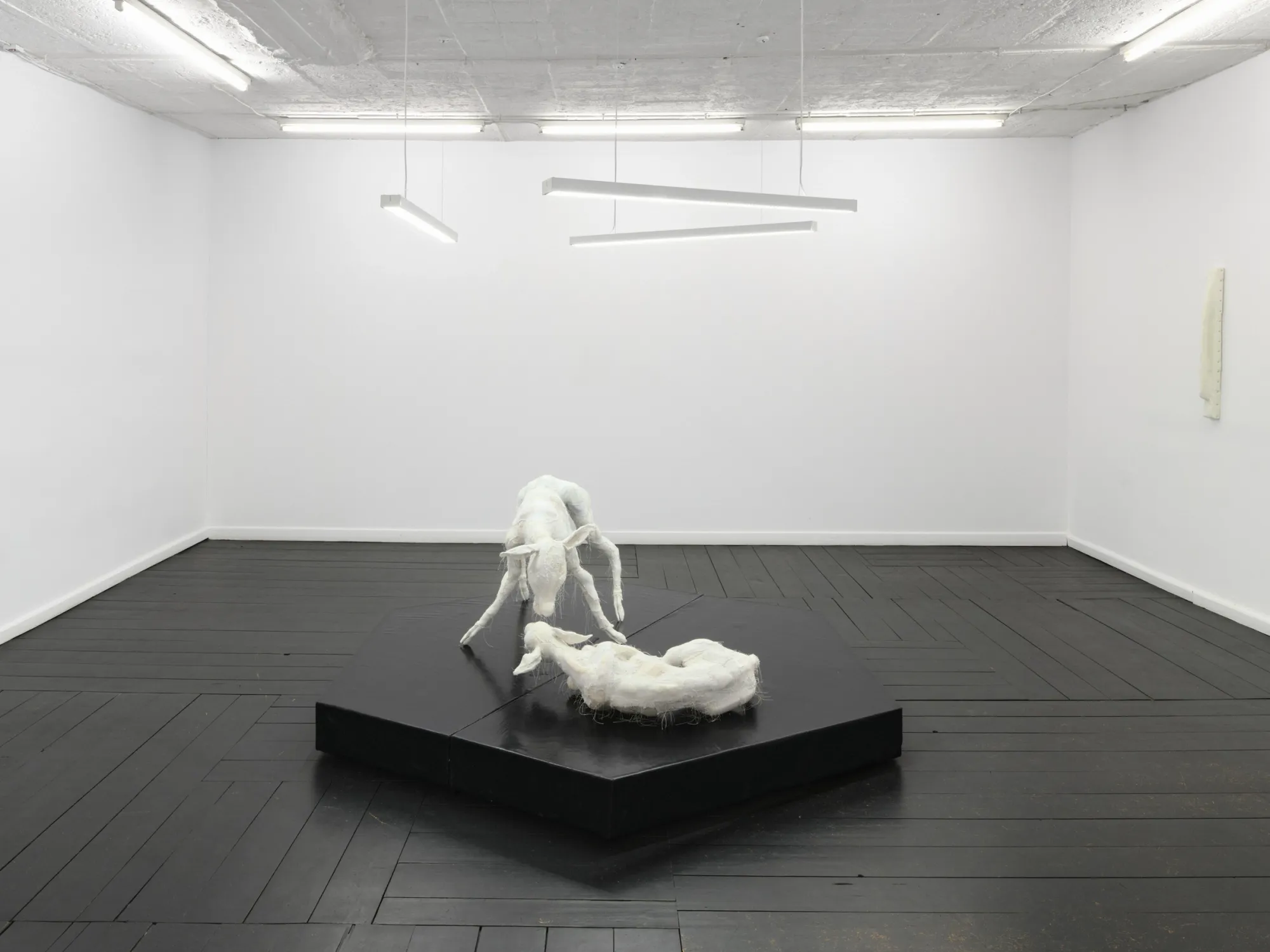 Wide view of two white fabric deer sculptures on a black plinth in a white-walled gallery with dark wooden flooring. Jan Baszak, WHOISPOLA, Warsaw, 2026.