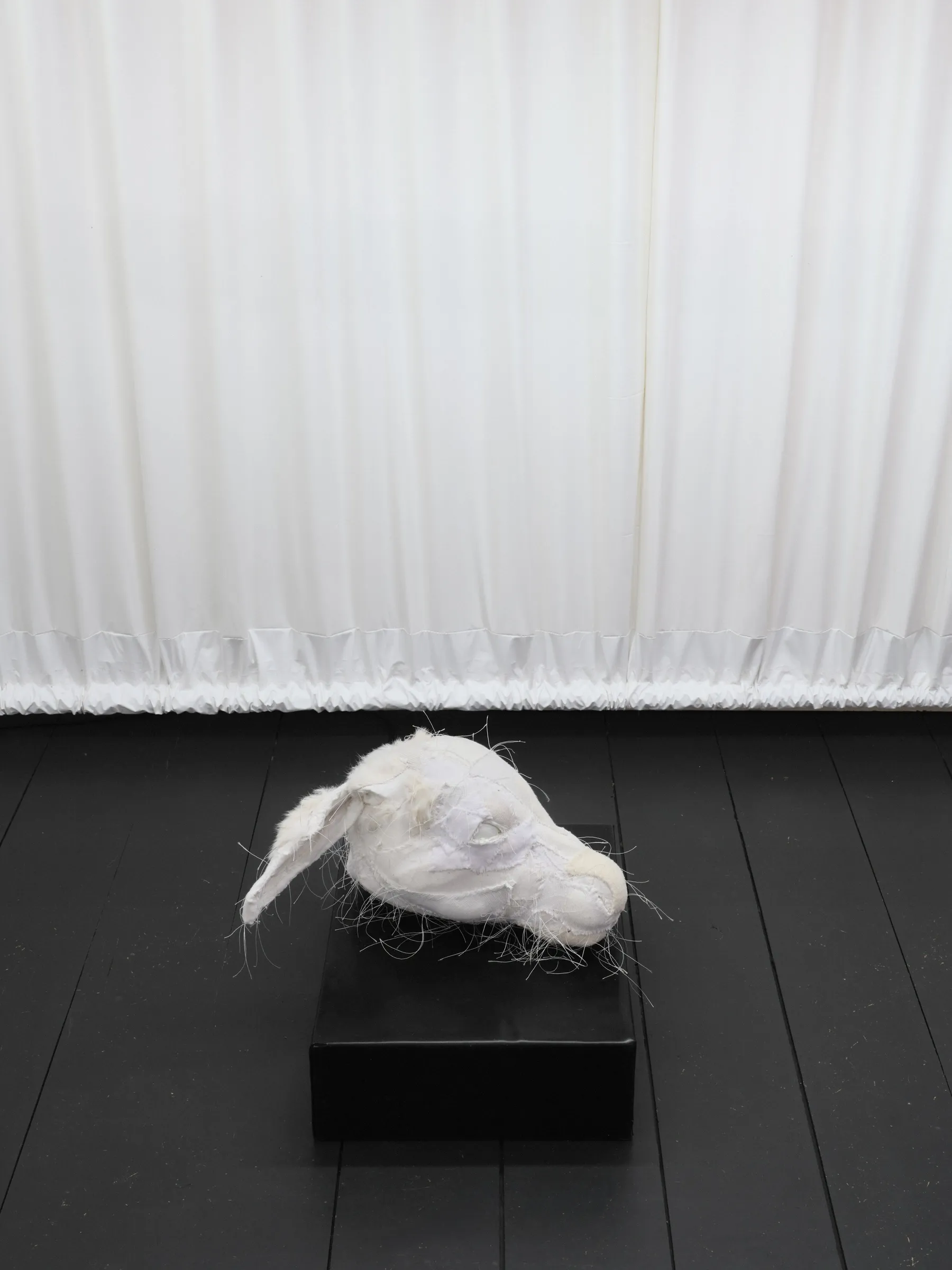 White sculptural deer head resting on a small black plinth in front of translucent white curtains. Jan Baszak, Within and For Each Other, WHOISPOLA, Warsaw, 2026.