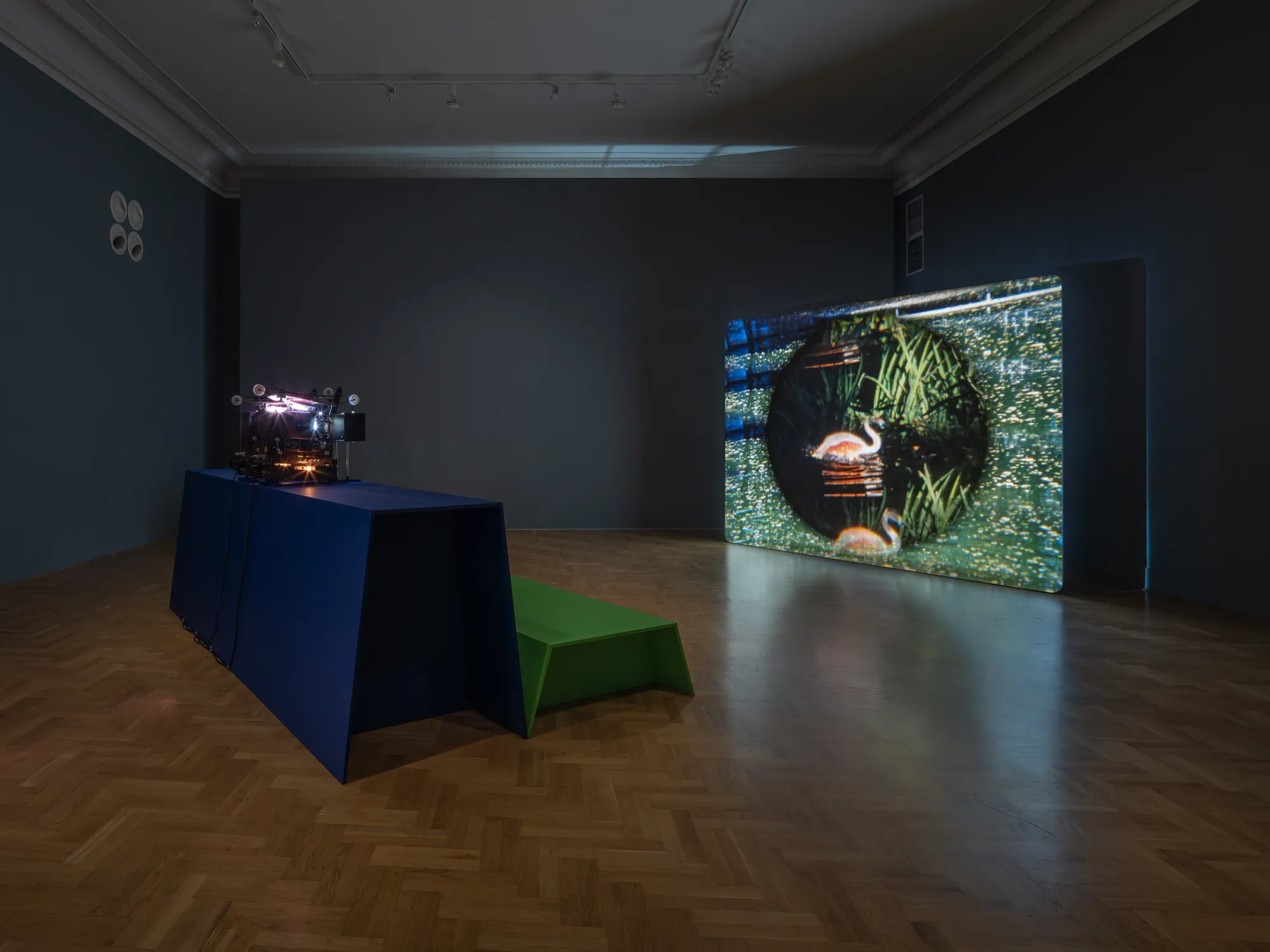 ALT: João Maria Gusmão, Zachęta, Warsaw: large projection of a flamingo in a circular mask, projector on a blue plinth and a green bench