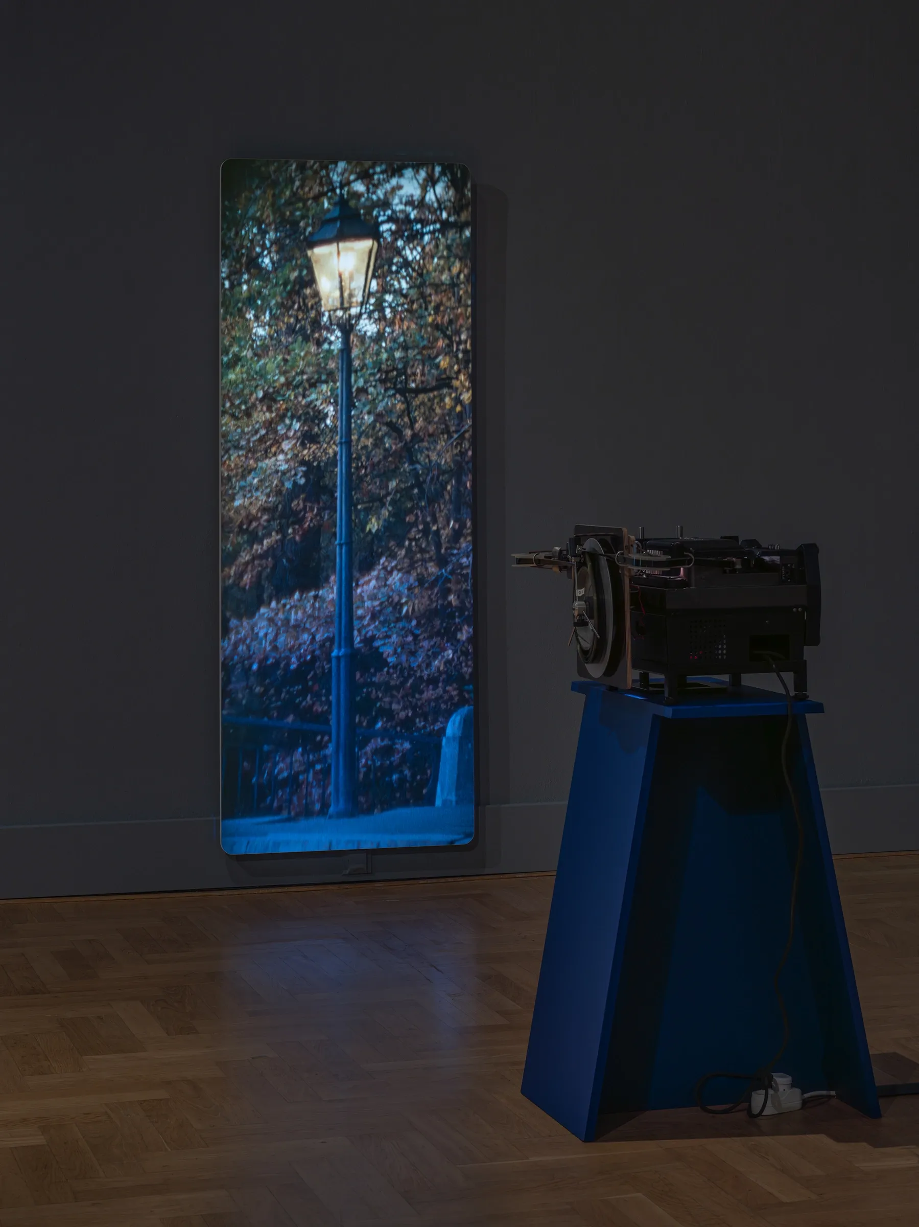 João Maria Gusmão, Zachęta, Warsaw: tall vertical projection of a street lamp and autumn trees at dusk beside a blue plinth with a projector.