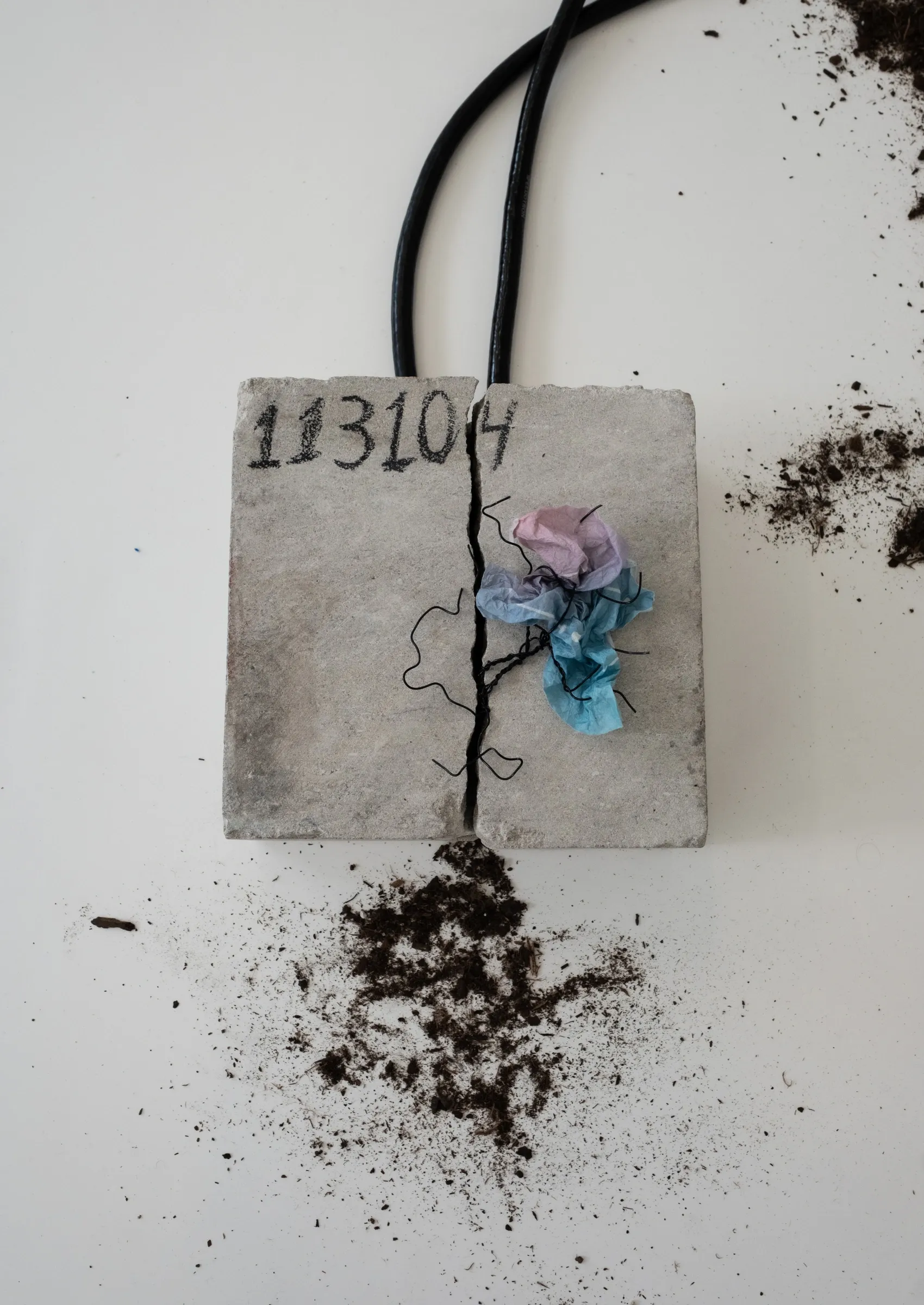 Artist Profile Feature: KiefferWoodtli, Arboreal Severance, New York, 2025.