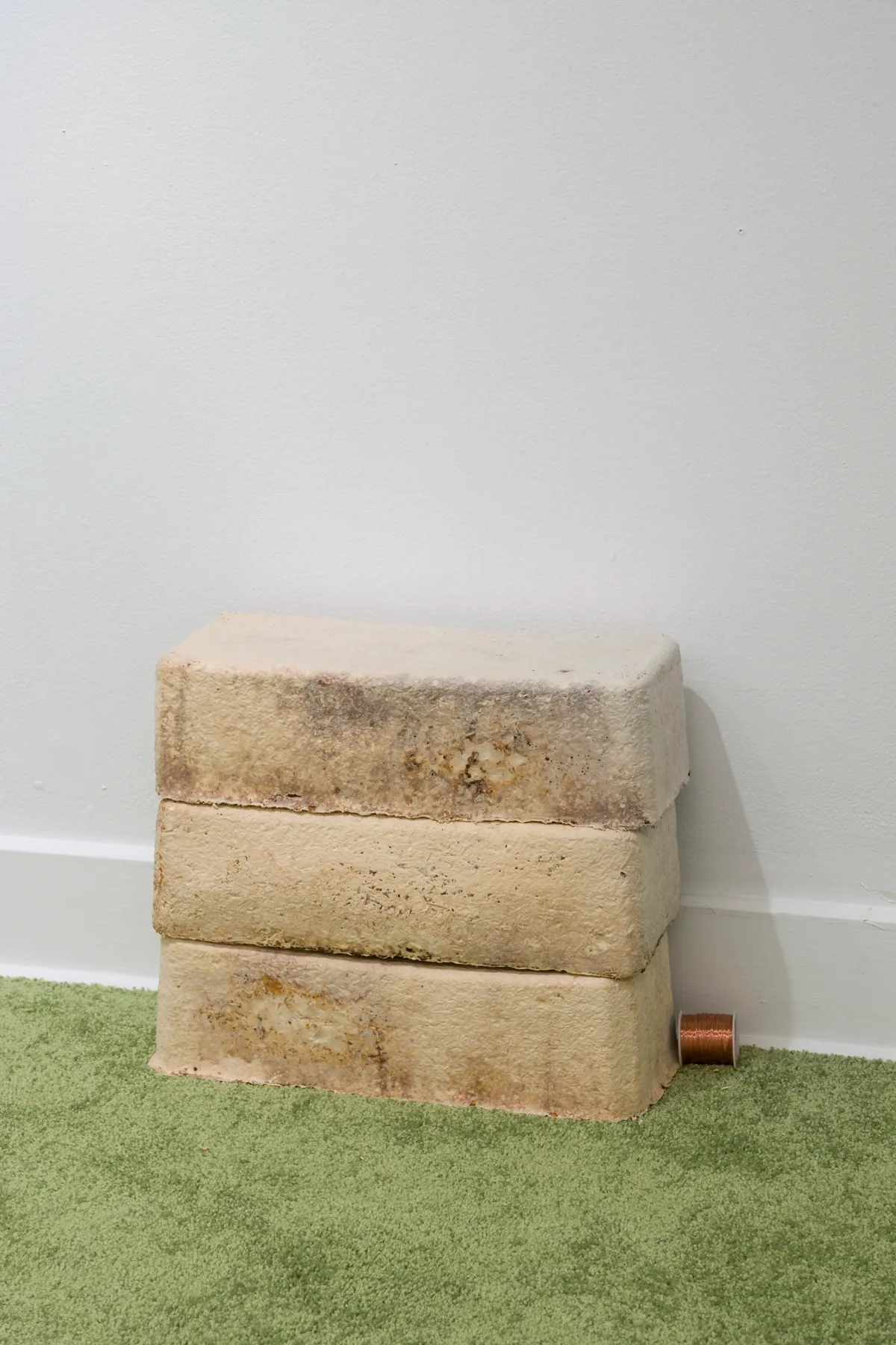 Patrick Bérubé at Plein Sud, Longueuil. Two stacked mycelium blocks on green carpet.