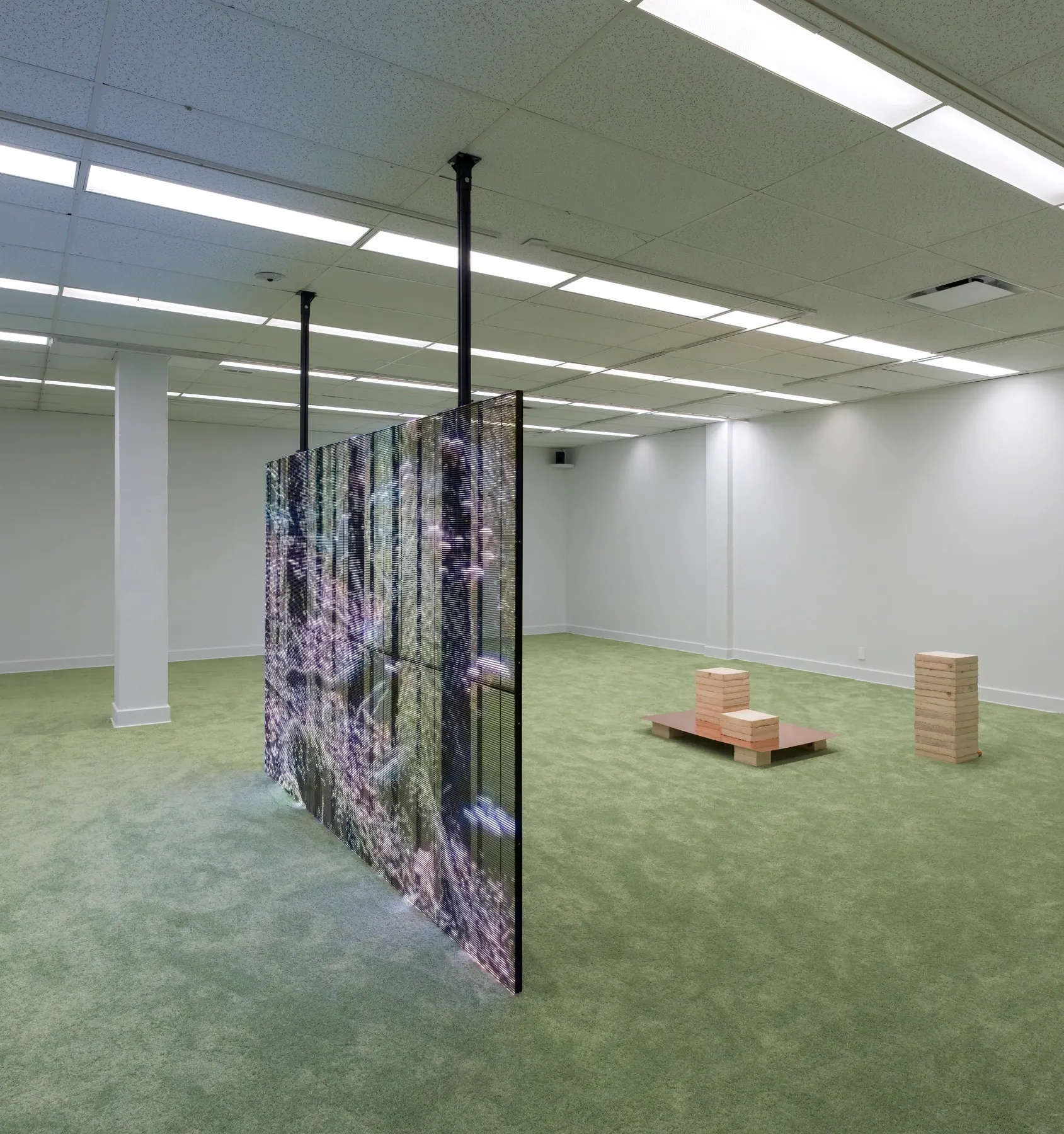 Patrick Bérubé at Plein Sud, Longueuil. Side view of a hanging LED screen with purple forest imagery and mycelium stacks.