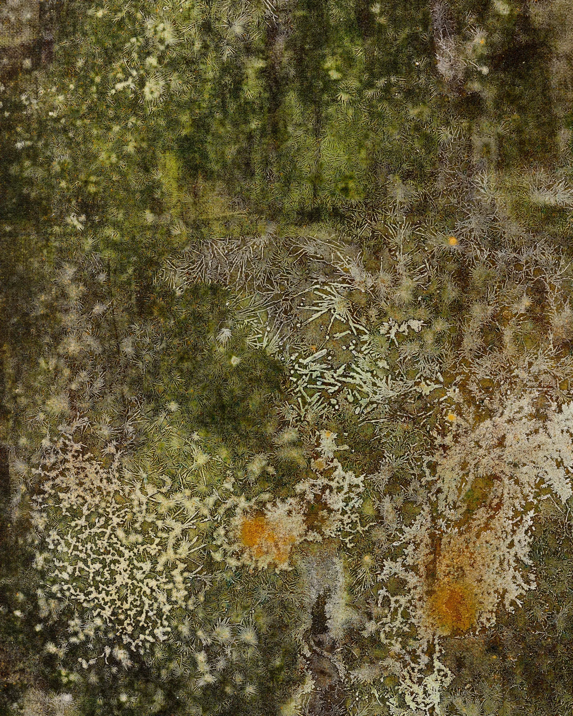 Taylah Hasaballah, INDICATRIX at The Address, 2026. Detail of olive-green surface with cream crystalline patterns.