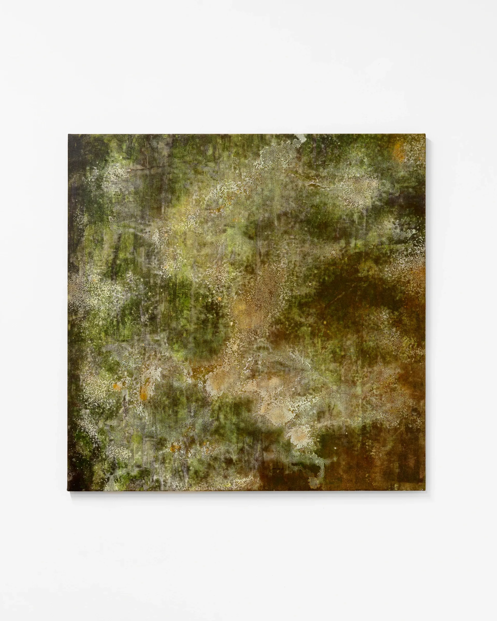Taylah Hasaballah, INDICATRIX at The Address, 2026. Olive-green and ochre painting with pale crystalline patches.