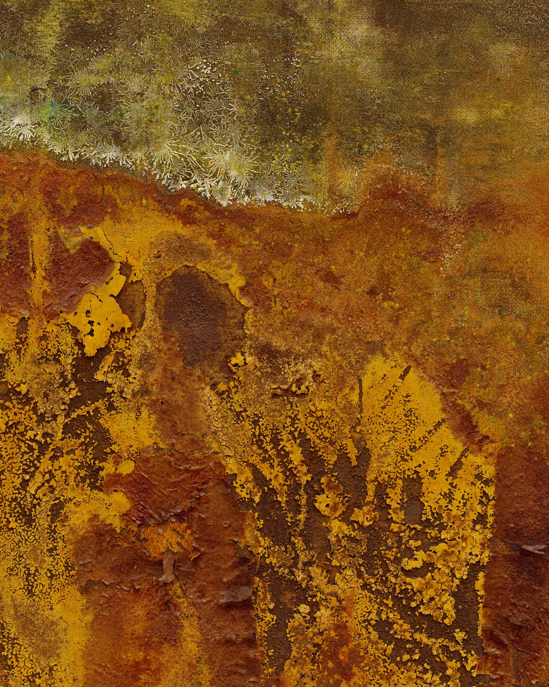 Taylah Hasaballah, INDICATRIX at The Address, Brescia, 2026. Rust-orange, yellow and grey-green square painting.